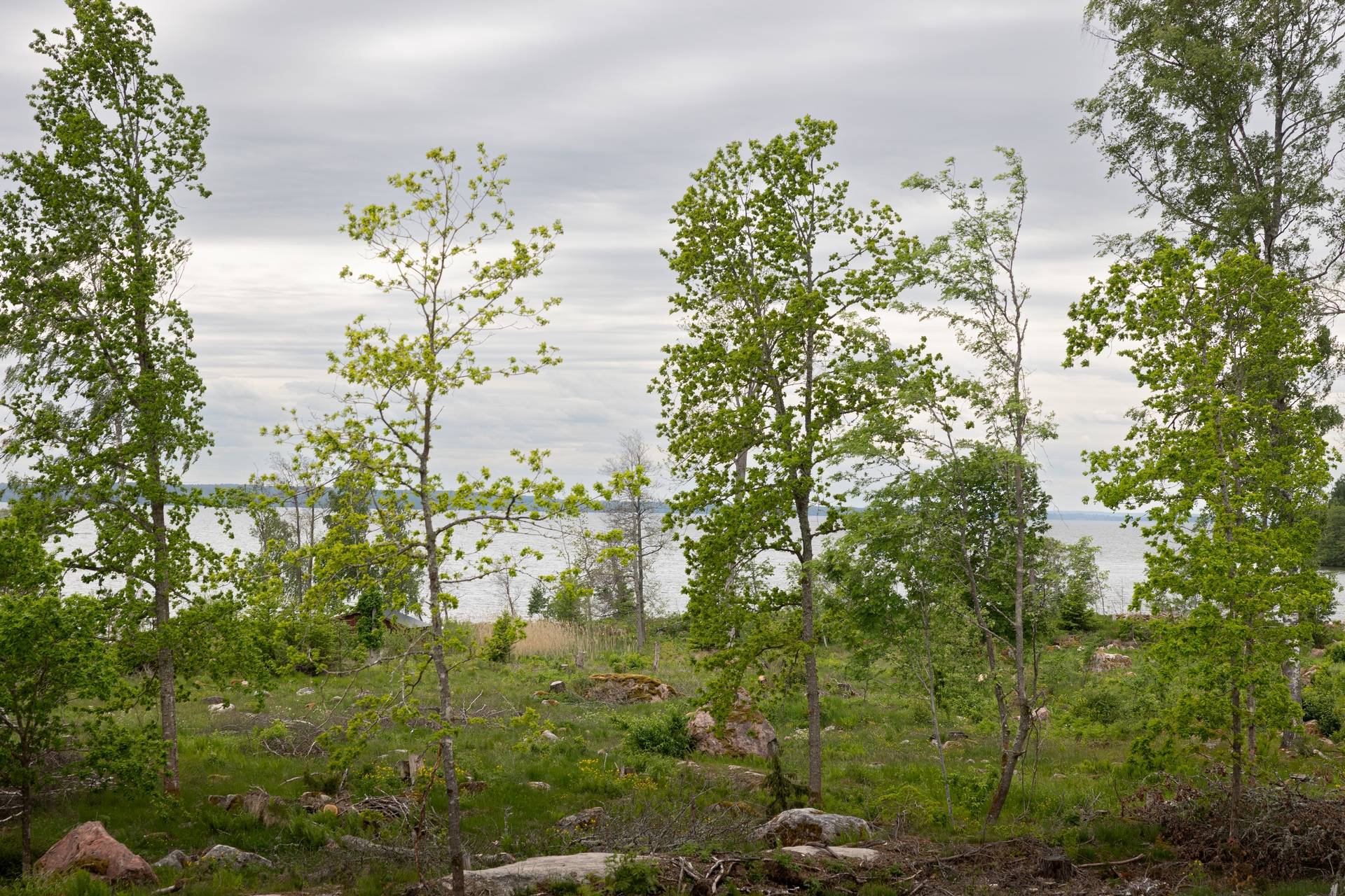 3 rum Gård/skog på Bärsta Storstugan Bärsta vid Hjälmaren Södermanland Eskilstuna kommun - bild 21