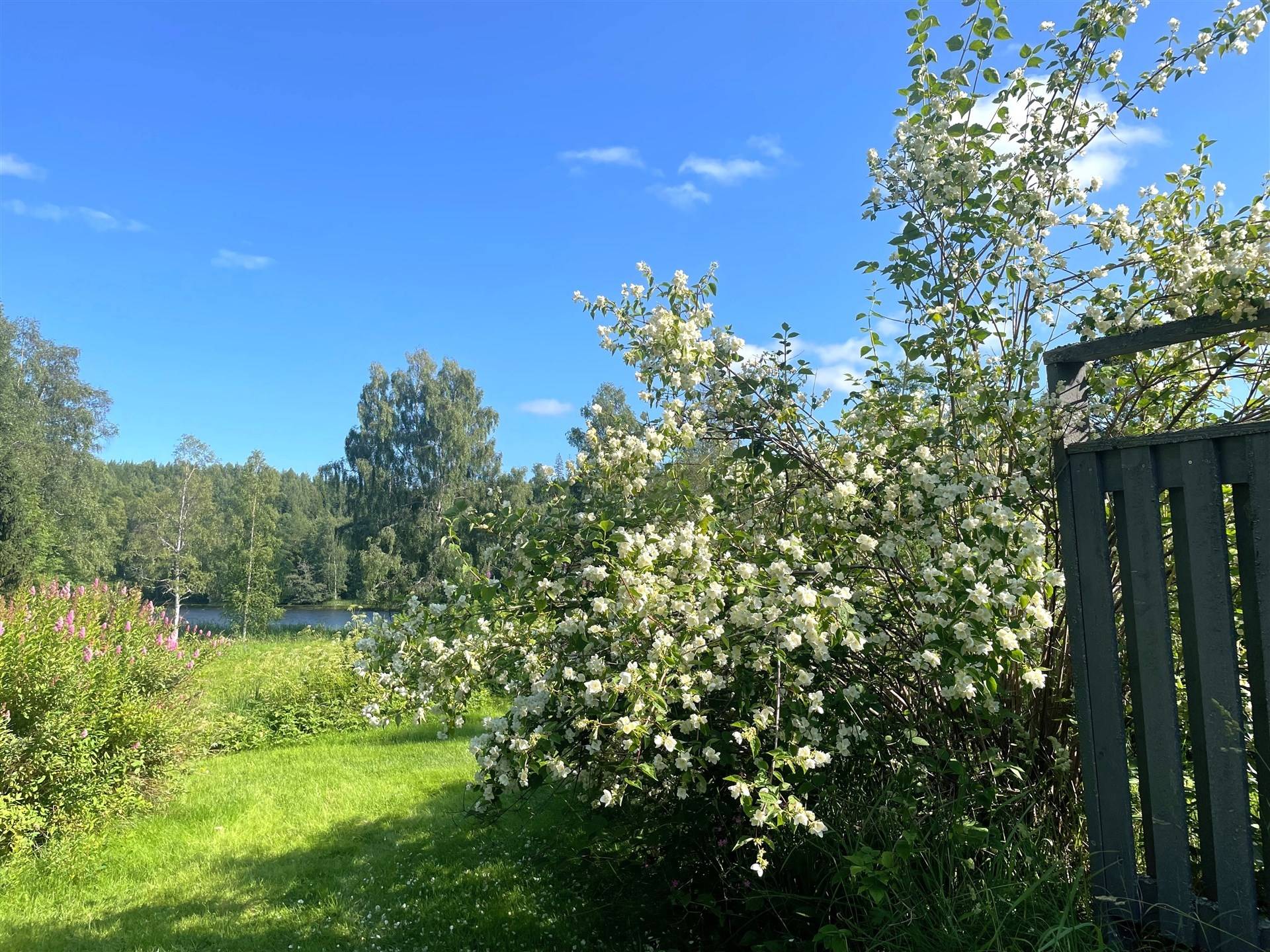 12 rum Gård/skog på Nynäs 120 Häggsjö Härnösands kommun - bild 79