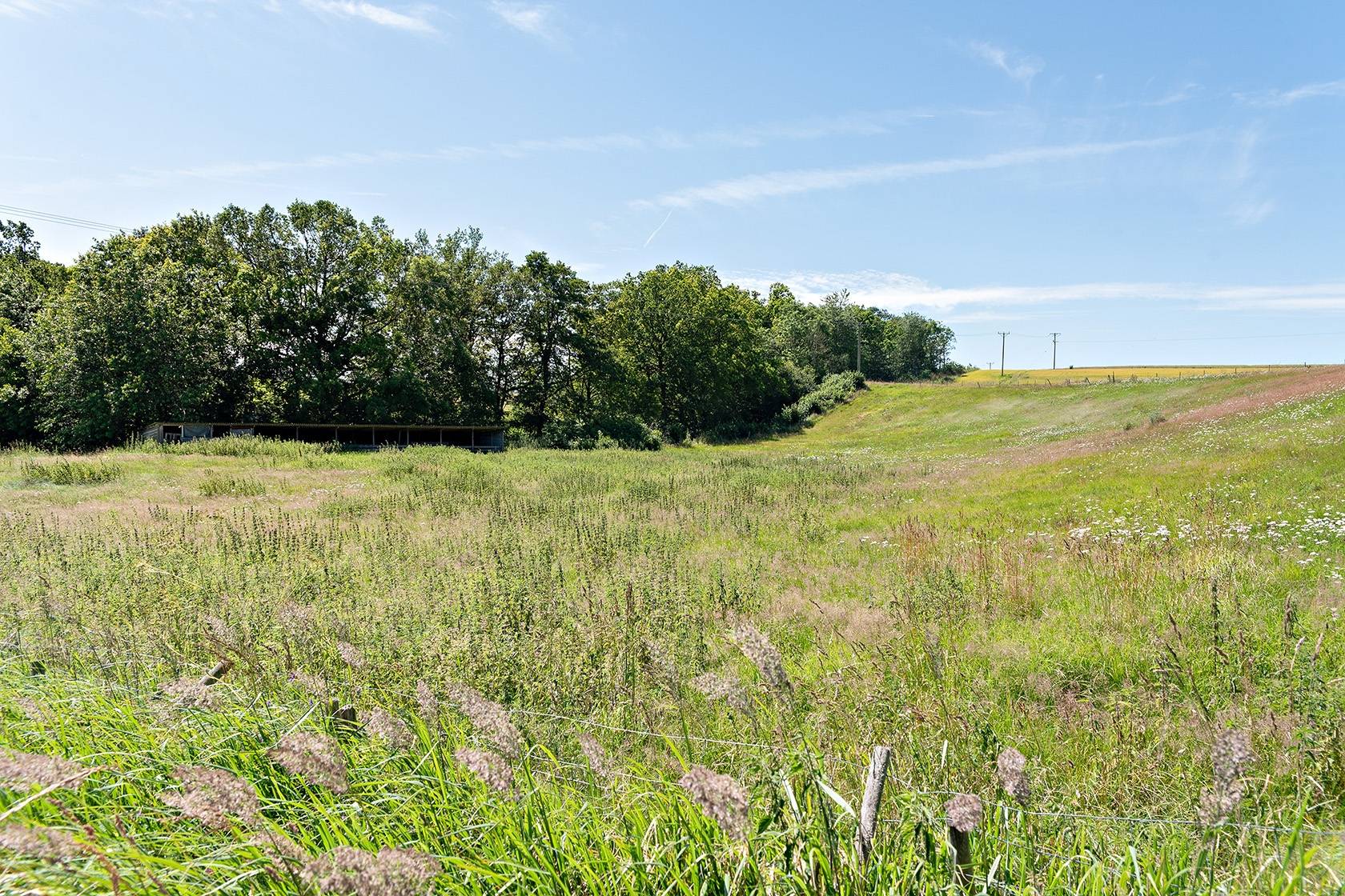 5 rum Gård/skog på Göstorp 203 Göstorp Laholms kommun - bild 8