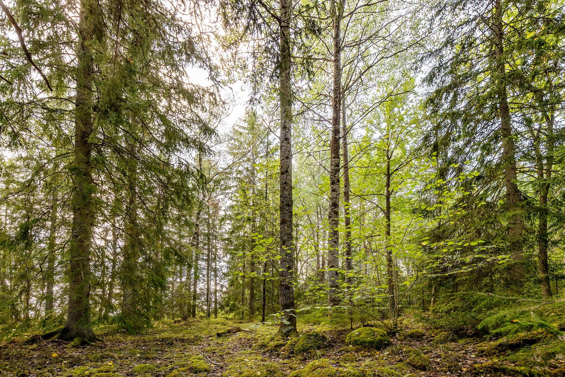 190 m² Gård med jordbruk på Djupviksängen Askersunds kommun - bild 25