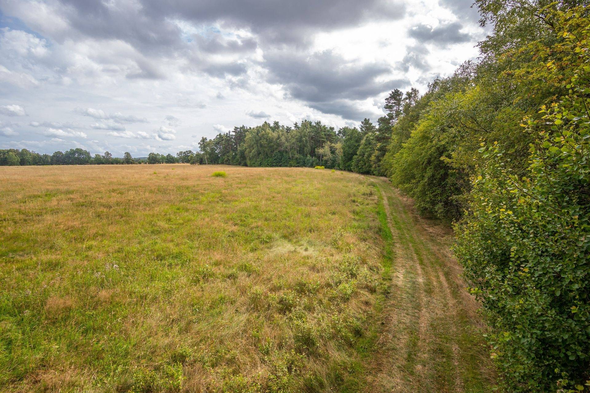 5 rum Gård med jordbruk på Kårarp 24 Skogaby / Kårarp Laholms kommun - bild 31