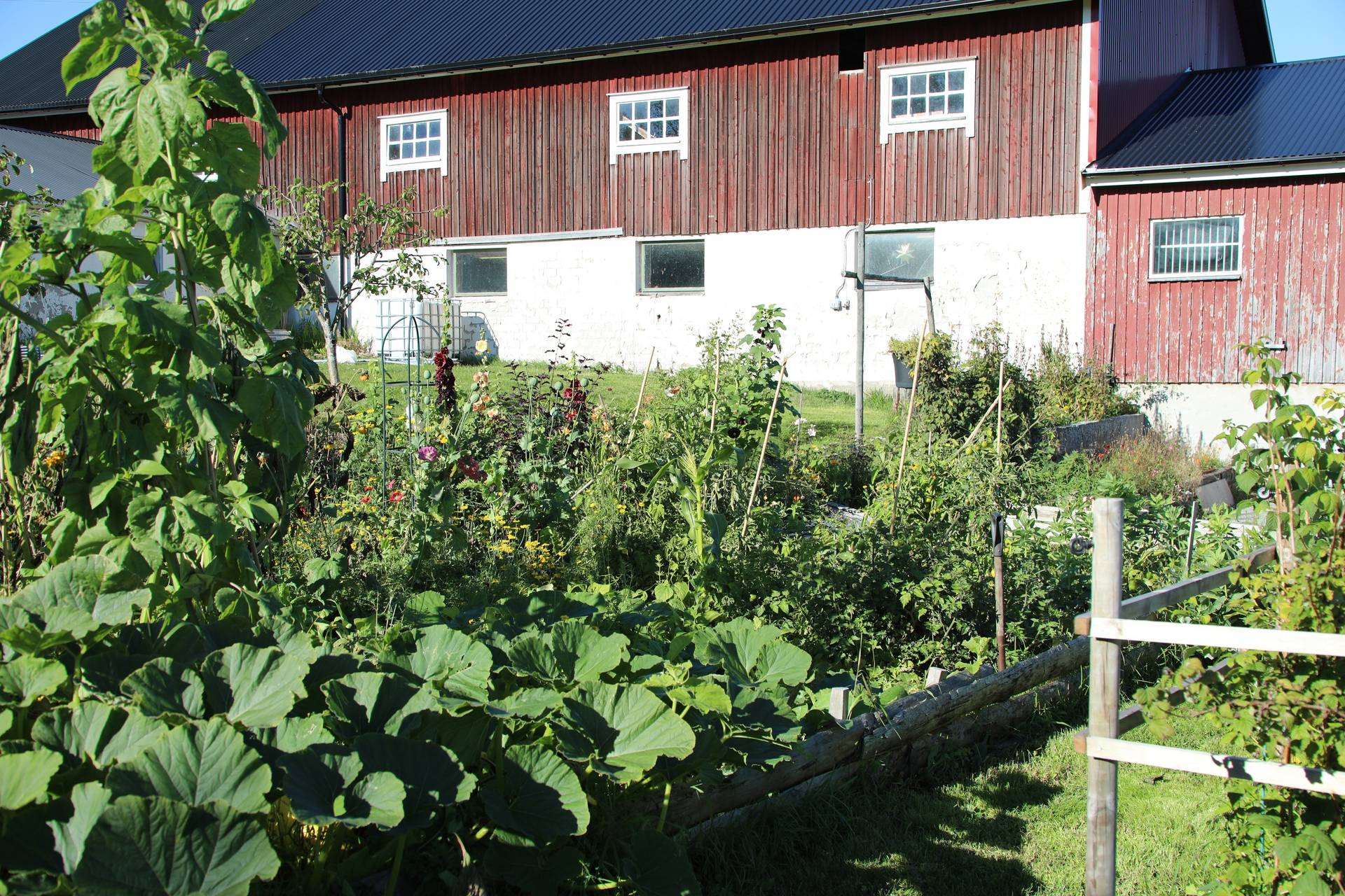 Gård med jordbruk på Kasa 145 Husum Örnsköldsviks kommun - bild 46