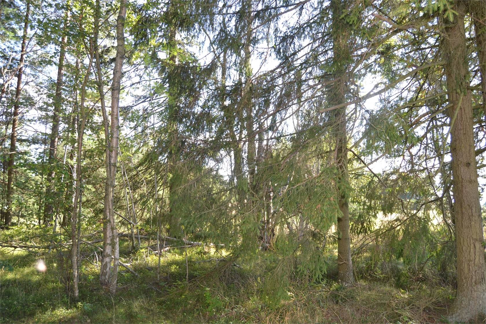 3 rum Fritidshus på Slätte Karlslund 37 Töreboda Landsbygd Töreboda kommun - bild 15