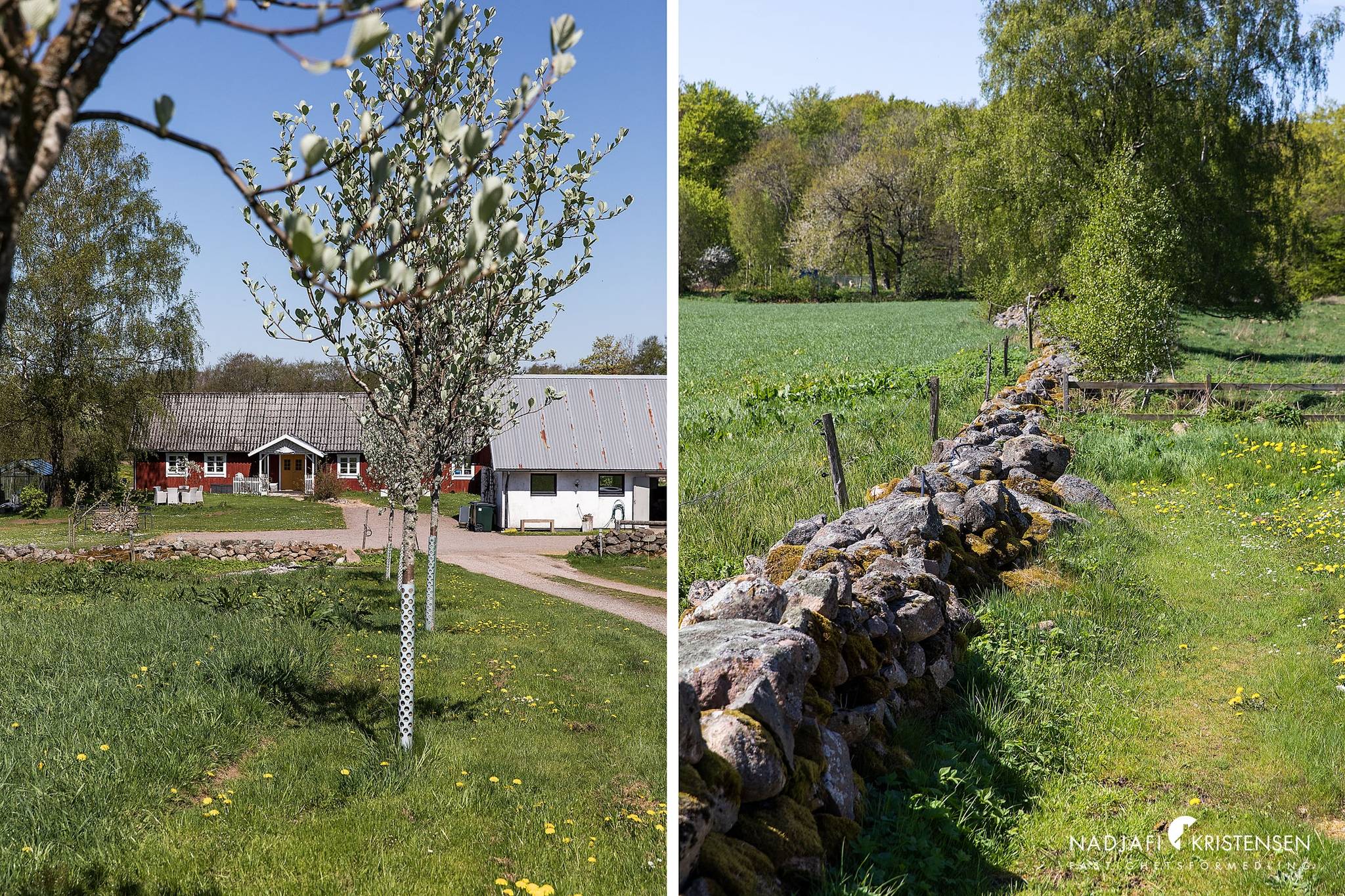 5 rum Gård utan jordbruk på Bjäredsvägen 41 Båstad Båstads kommun - bild 31