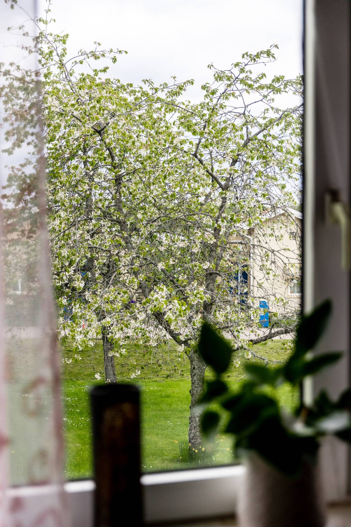 4 rum Lägenhet på Kung Magnus Väg 12 Kampen Växjö kommun - bild 25
