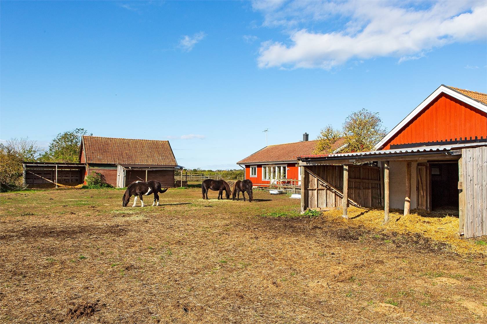 4 rum Gård/skog på Kalkstad 106 Kalkstad Mörbylånga kommun - bild 20