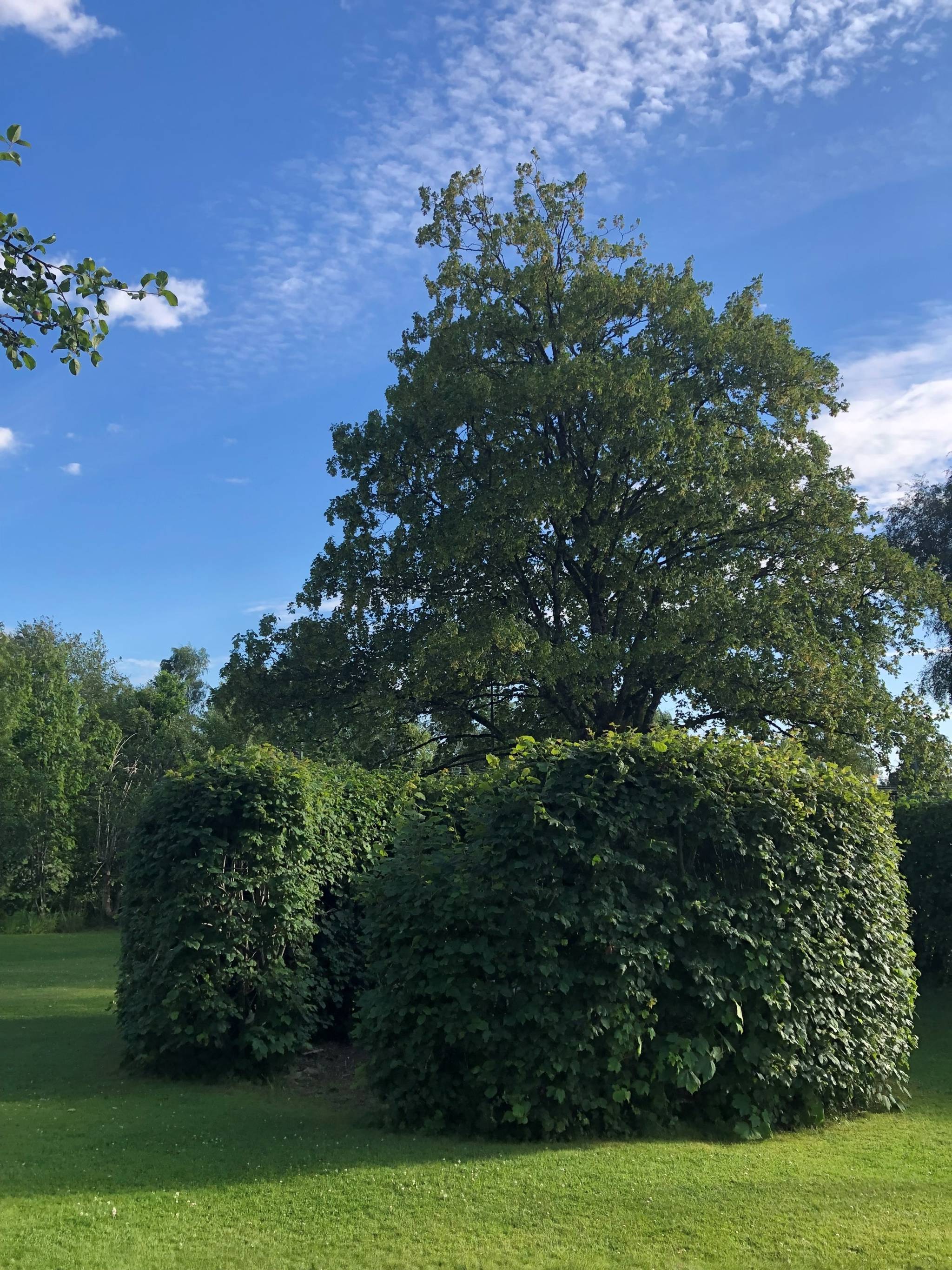 9 rum Villa på Mellangårdsvägen 1 Rävlanda Härryda kommun - bild 79