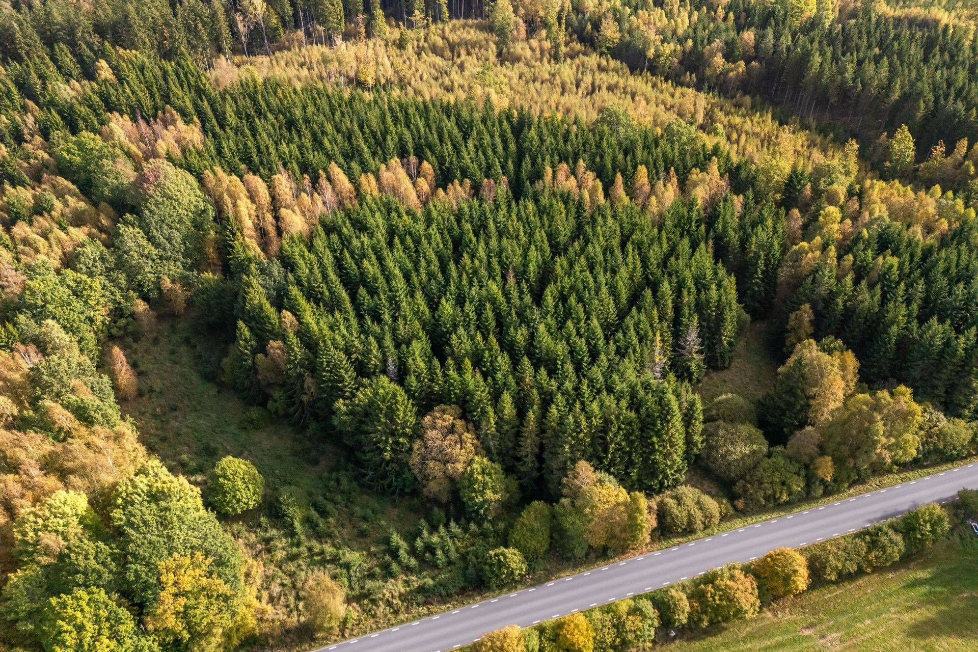 Osby, Hässleholms kommun