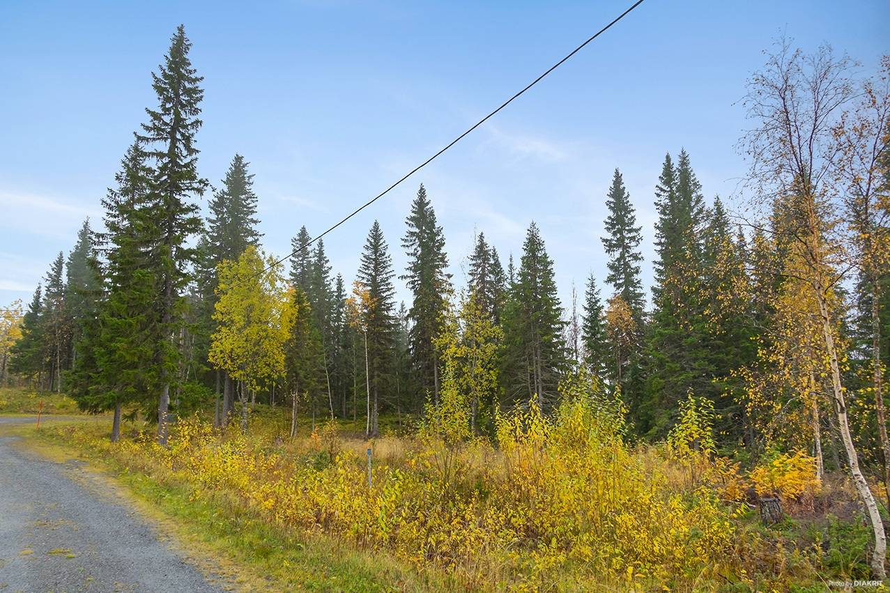 Tomt på Skogvaktarvägen 11 Rislängden Åre kommun - bild 16