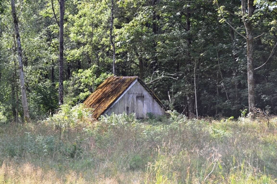 Gård/skog på Nädhult 2:14 Kinnared Hylte kommun - bild 12