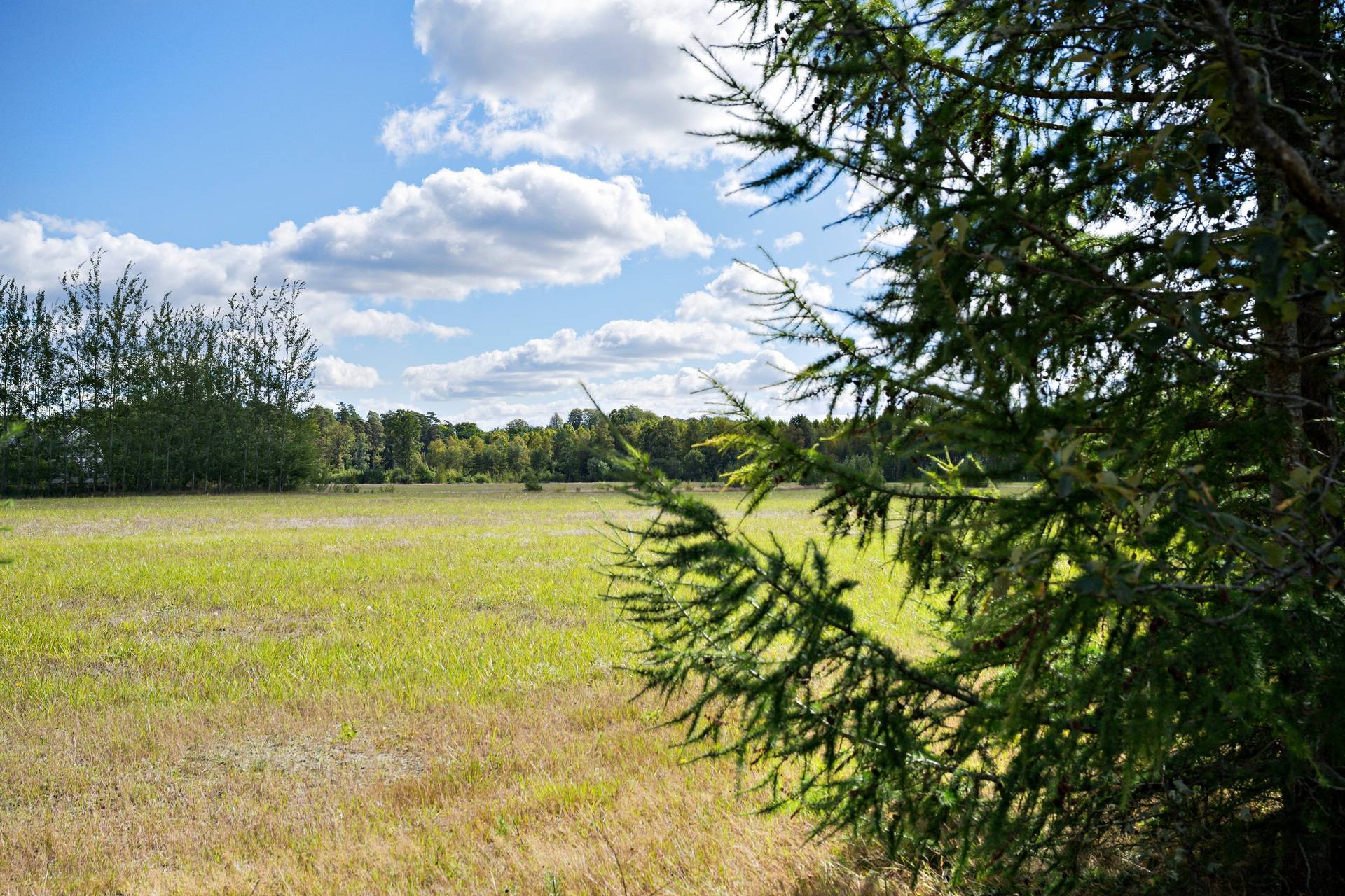 5 rum Villa på Kronostigen 4 Ljungbyhed Klippans kommun - bild 3