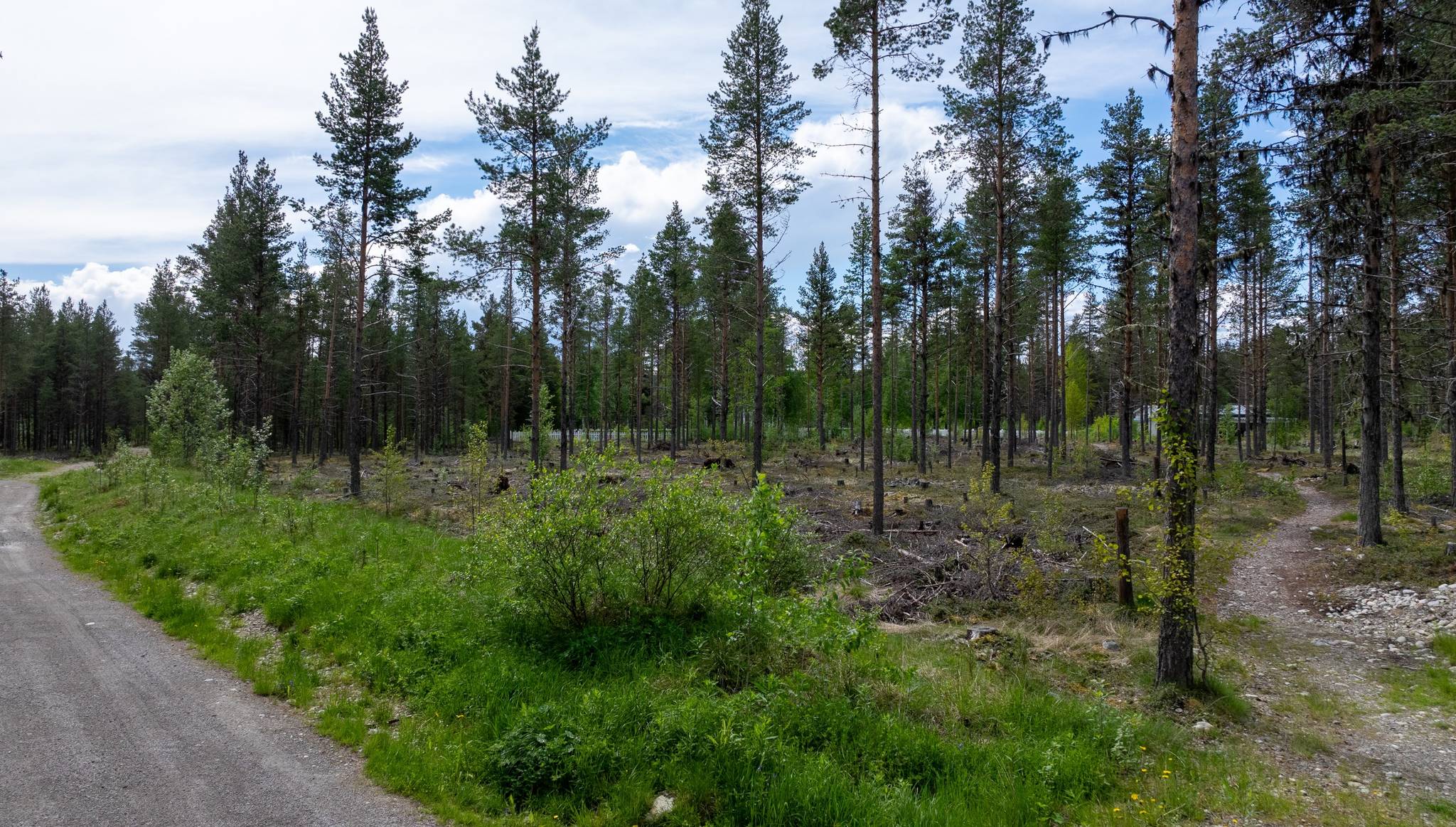 Tomt på Österlånggatan Vemdalen Härjedalens kommun - bild 2
