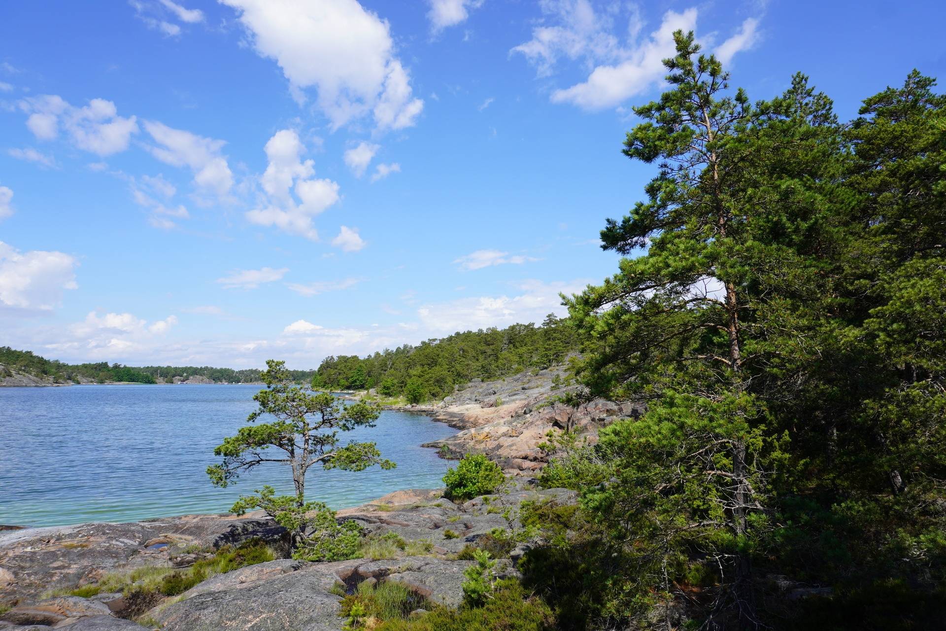 Gård/skog på Vindalsö Vindalsö Värmdö kommun - bild 5