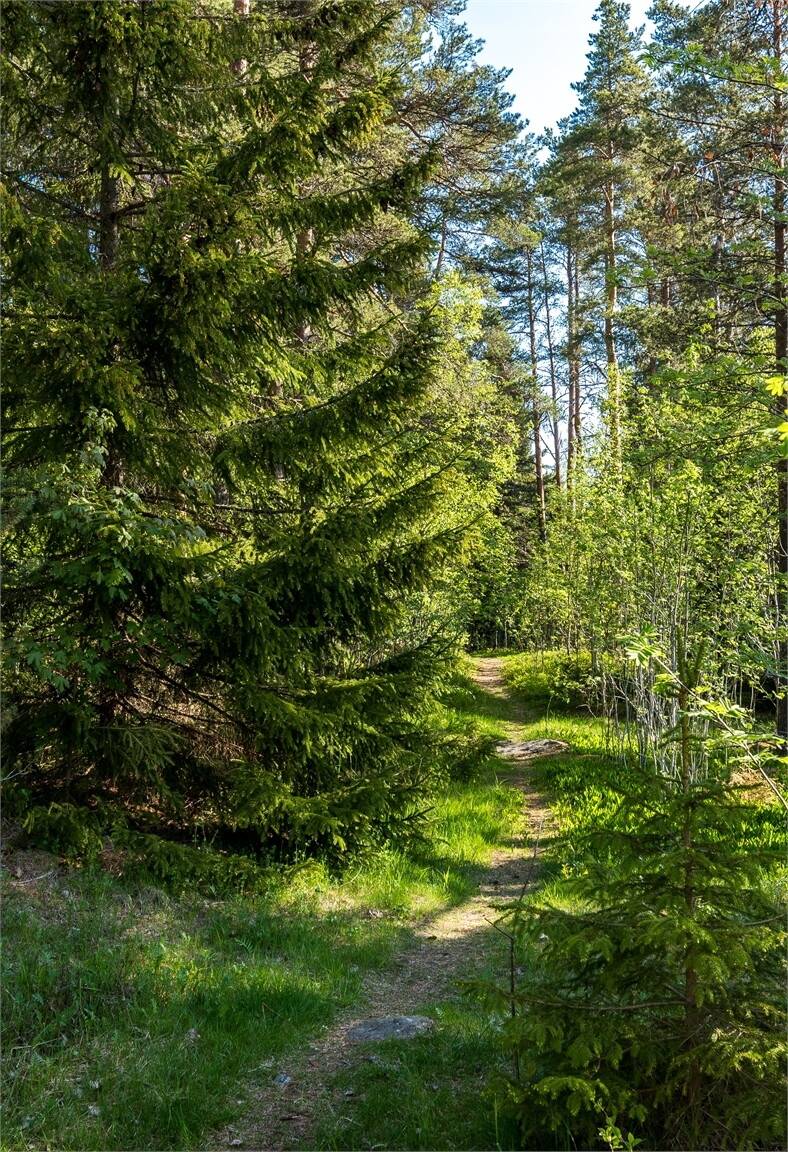Tomt på Överbergevägen 28 Hudiksvall Hudiksvalls kommun - bild 5