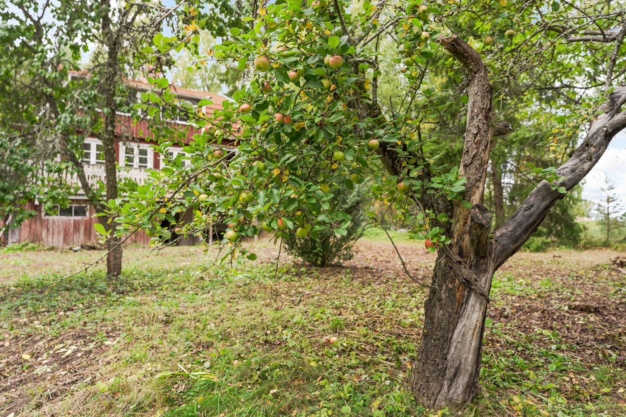 5 rum Villa på Husby 108 Vendel Tierps kommun - bild 49