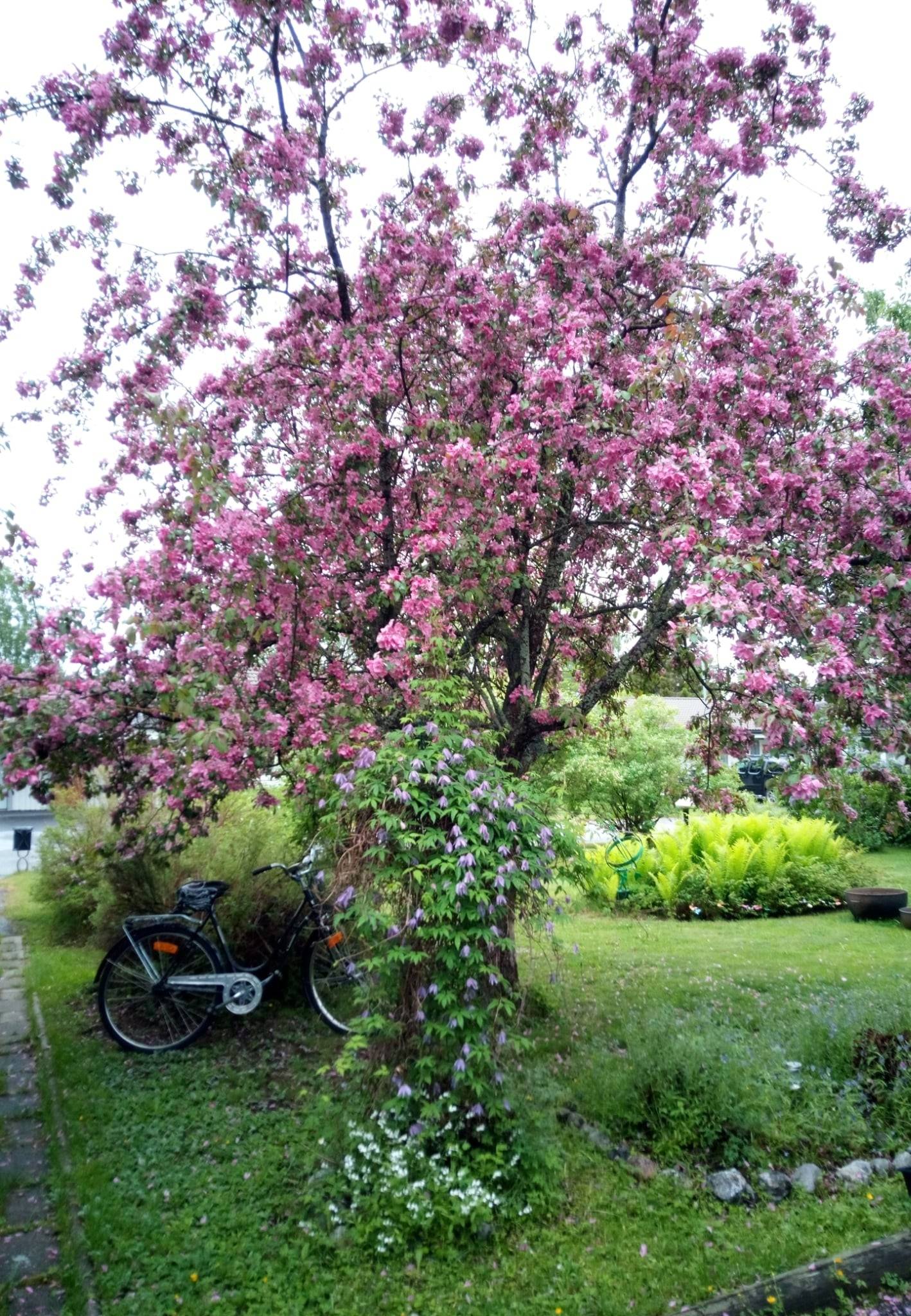 4 rum Villa på Timotejvägen 12 Nordmaling Nordmalings kommun - bild 40