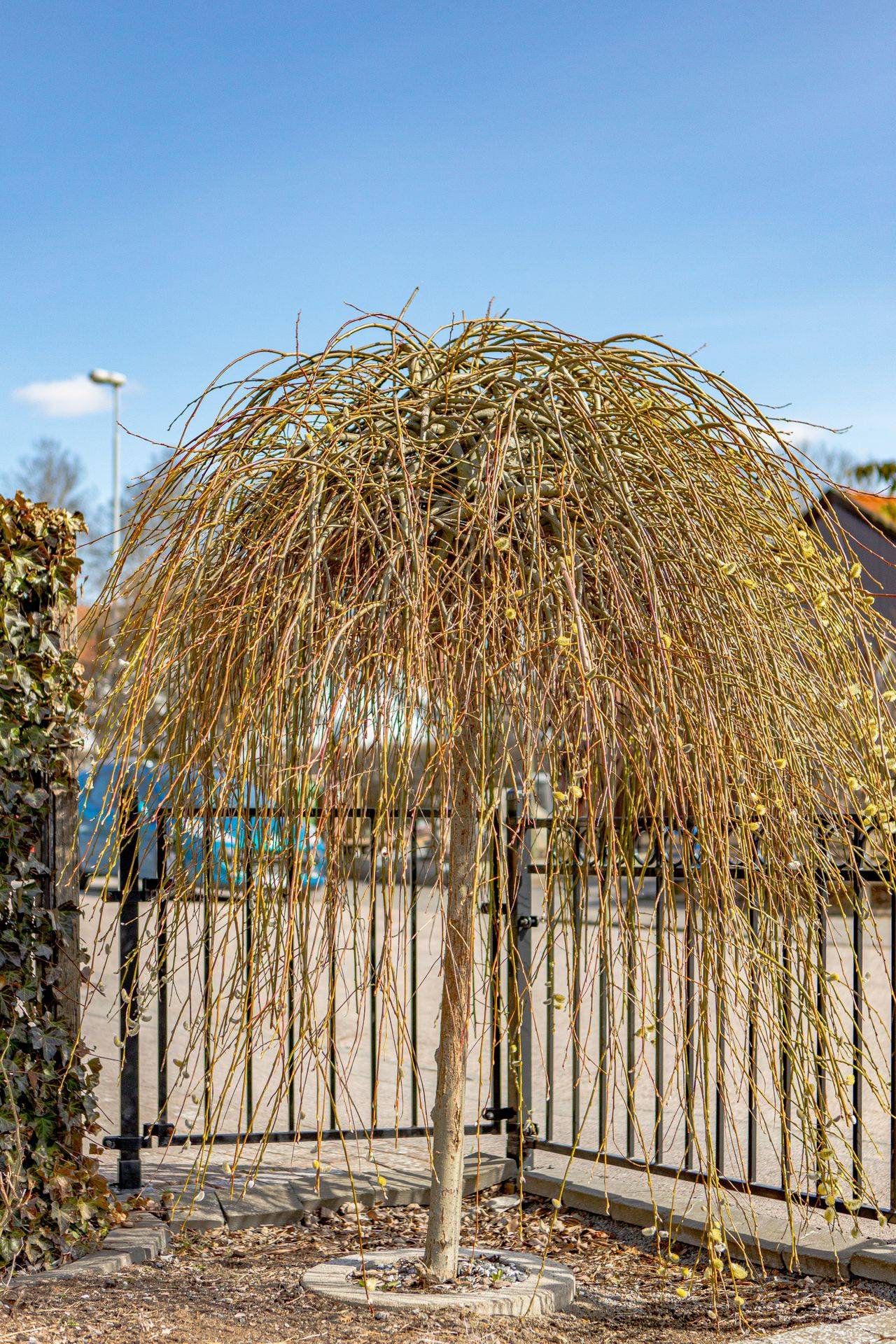 5 rum Villa på Skulptörvägen 12 Östra Gärdet Falkenbergs kommun - bild 9