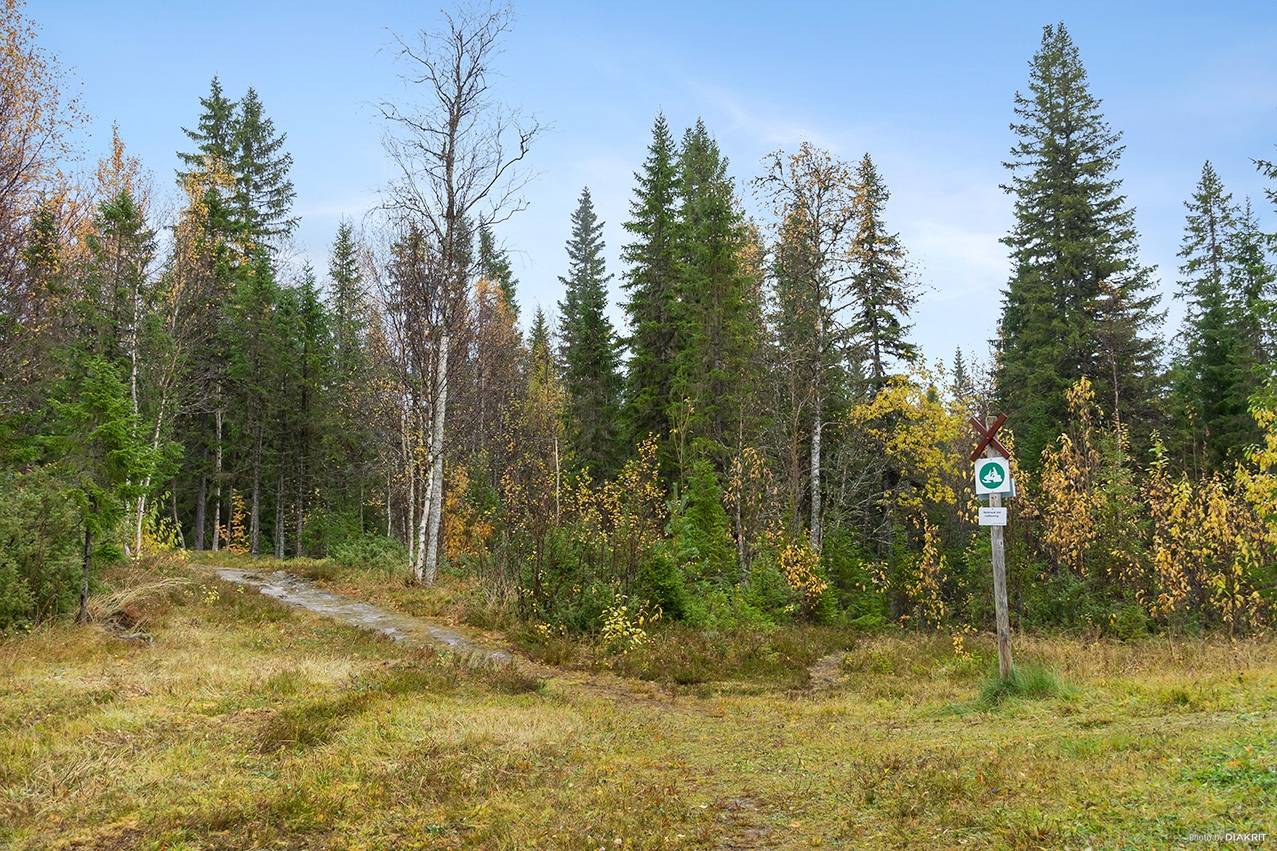 Tomt på Skogvaktarvägen 11 Rislängden Åre kommun - bild 14