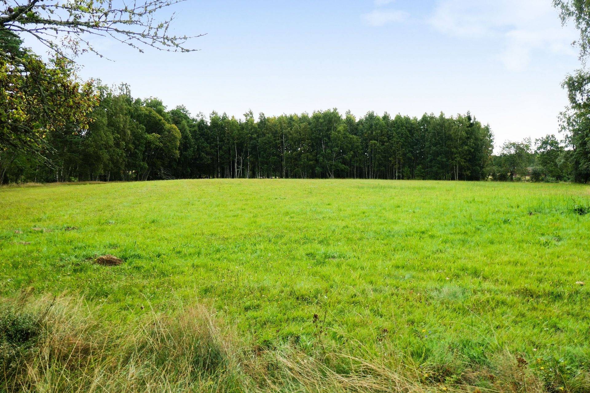 Gård/skog på Galneryd 1 Hjo kommun - bild 15