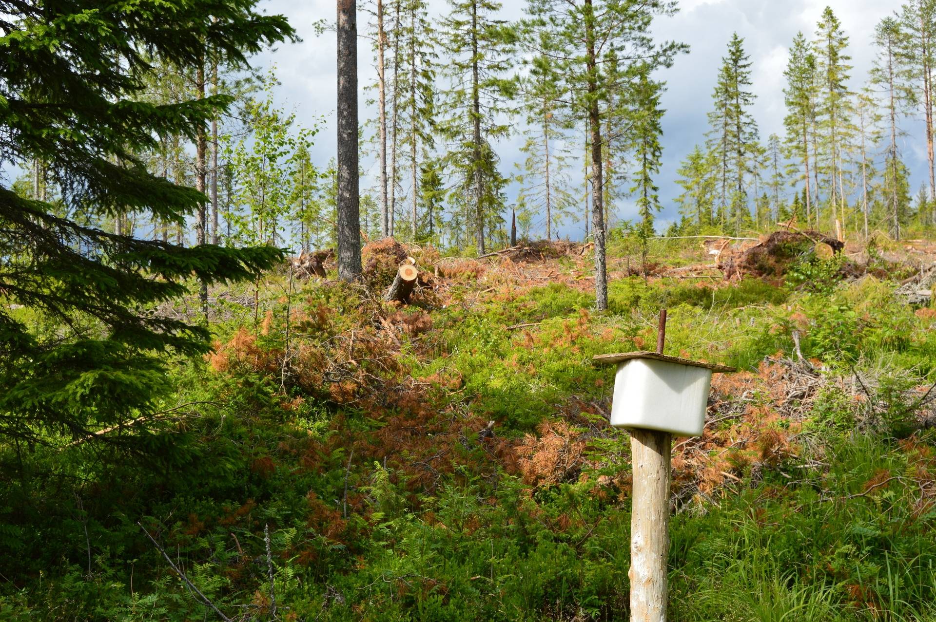 Gård med jordbruk på Råbacken Falu kommun - bild 6