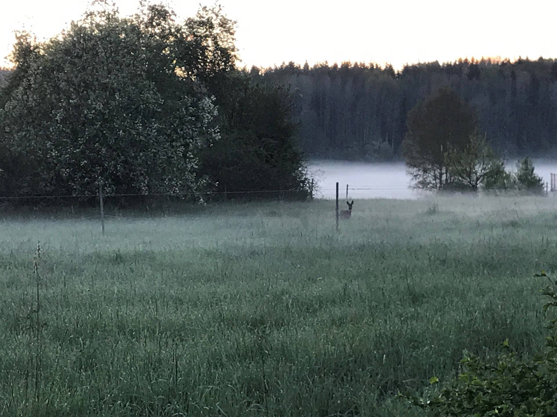 4 rum Fritidshus på Hårsbodavägen 23 Ekeby Norrtälje kommun - bild 51