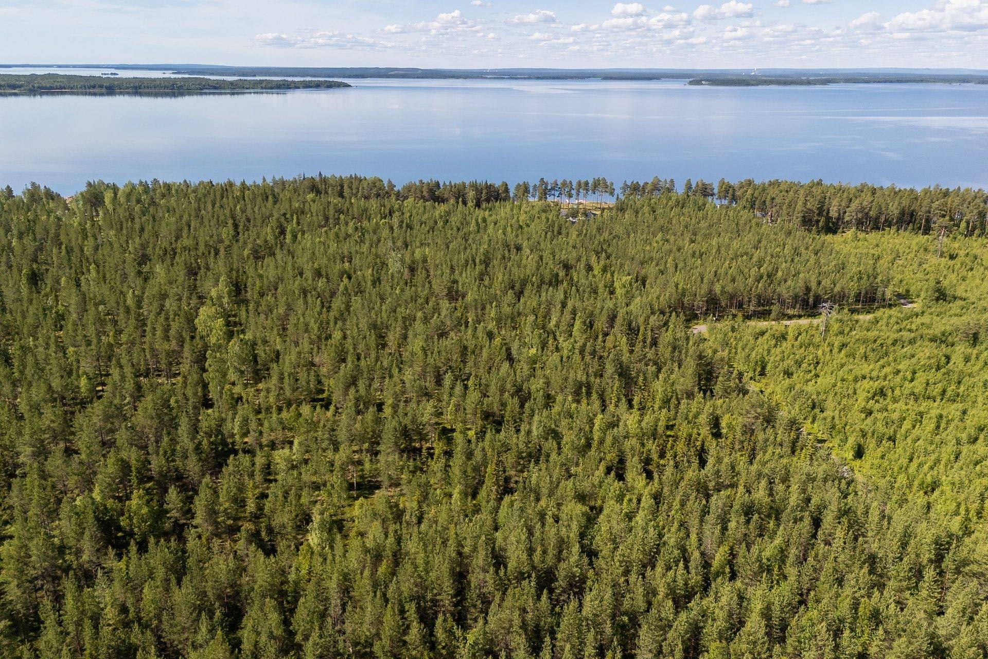 Gård med skogsbruk på Trundavan 5:8 Trundavan Piteå kommun - bild 7