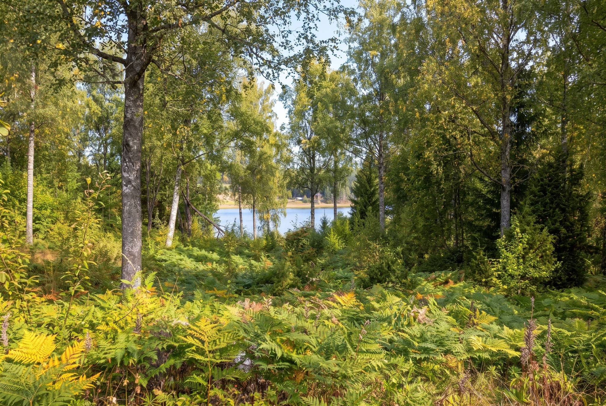 3 rum Fritidshus på Älvsnäbben 4 Köpings kommun - bild 40