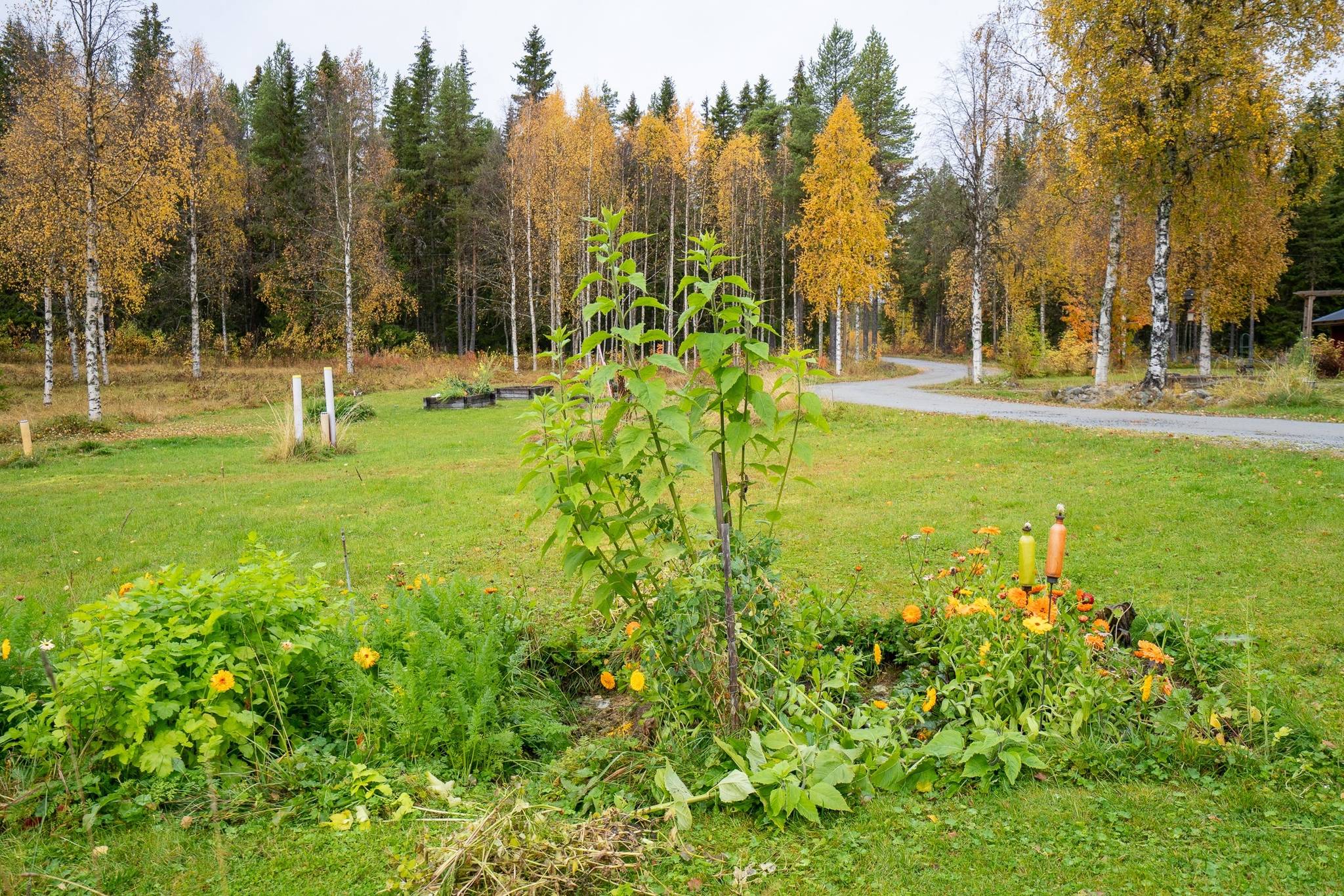 3 rum Gård/skog på Avasund 106 Storuman Storumans kommun - bild 28