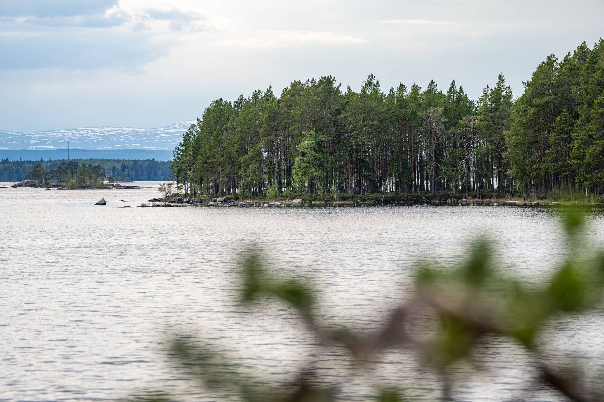Gård/skog på Sinnberg Östersunds kommun - bild 11