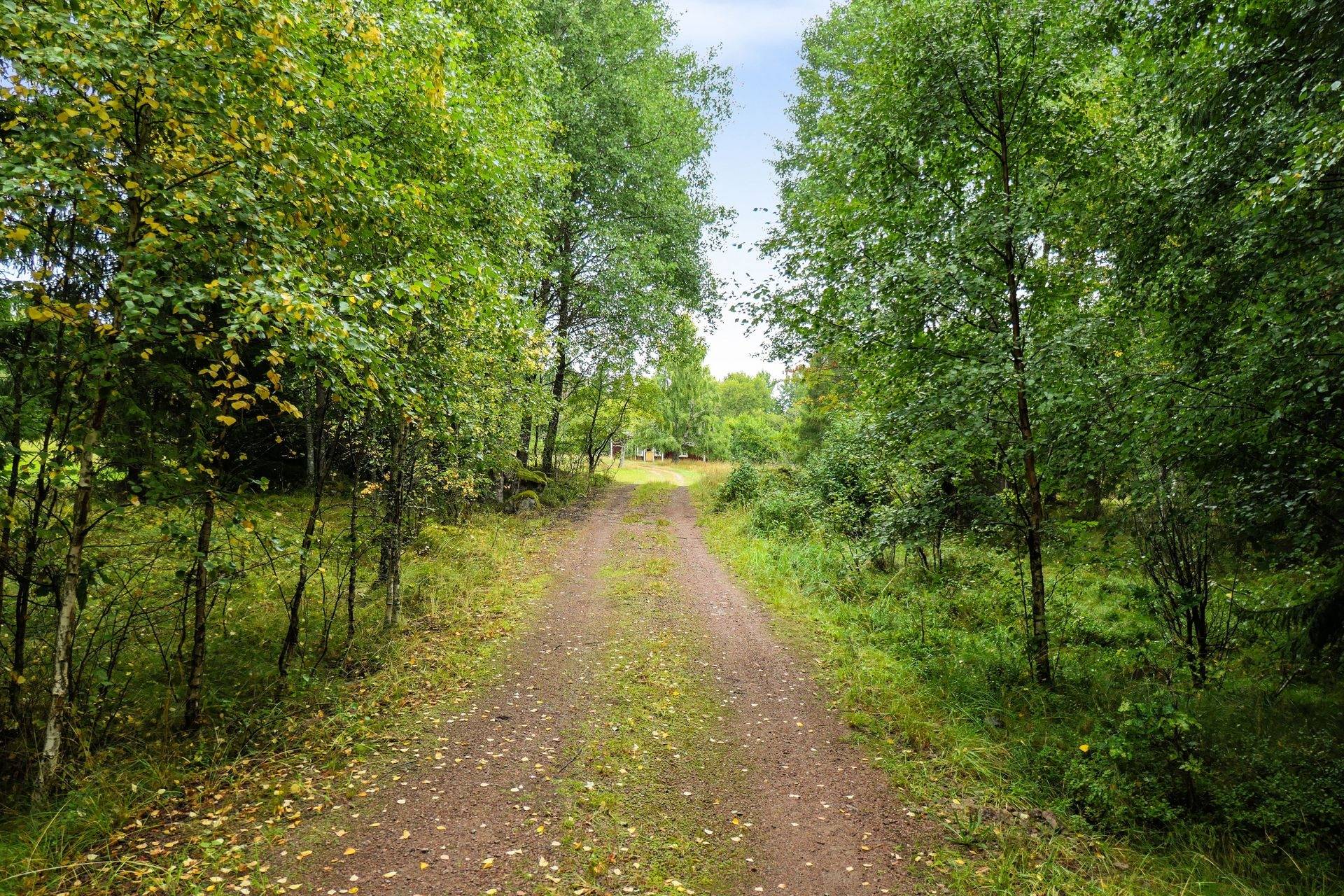 Gård/skog på Galneryd 1 Hjo kommun - bild 17