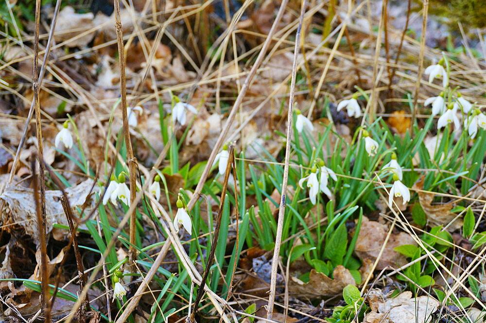 3 rum Fritidshus på Ulfsnäs Värnamo, Småland Värnamo kommun - bild 22