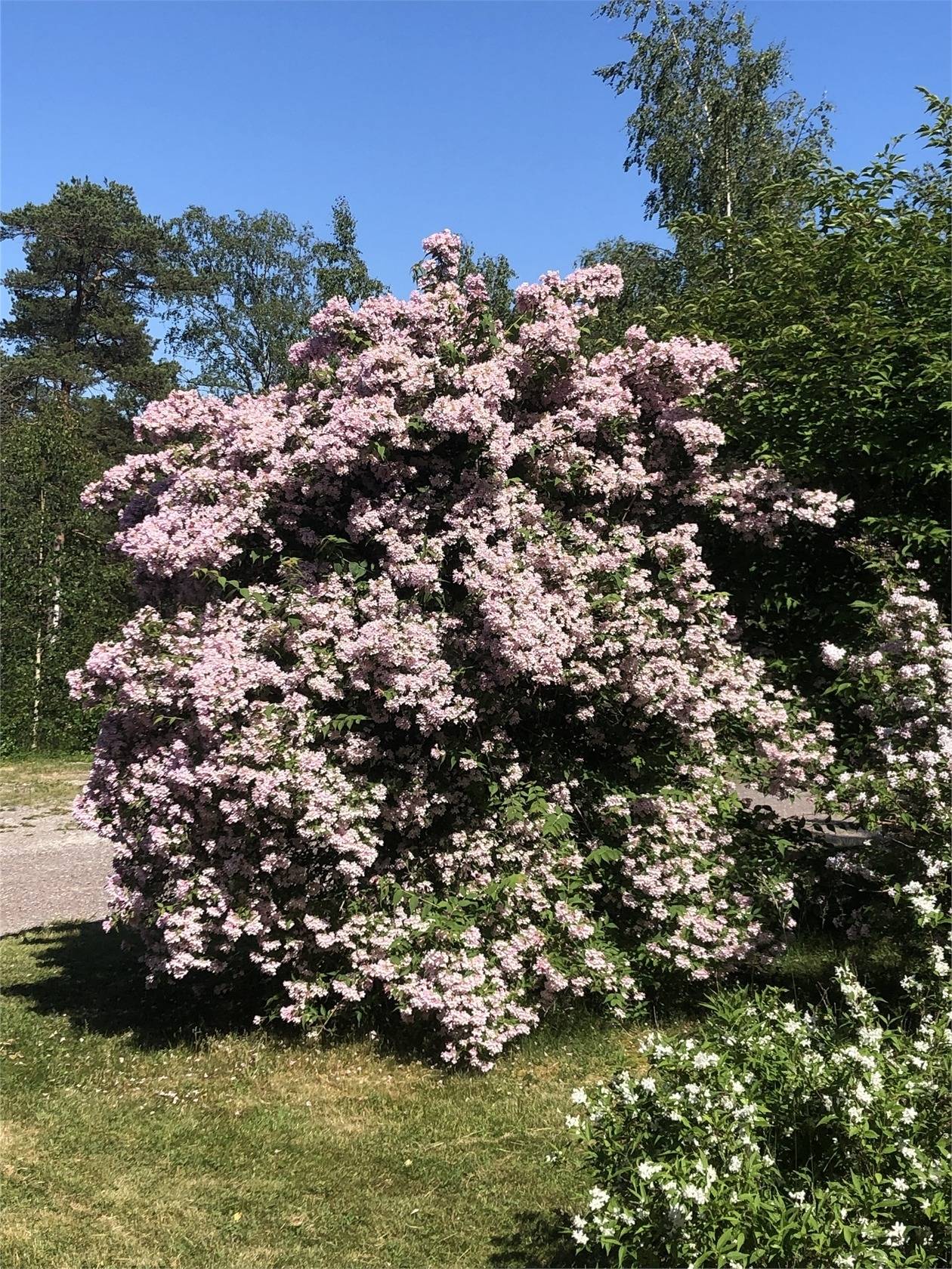 4 rum Villa på Lillsvängen 3 Trosa Krymla Trosa kommun - bild 51