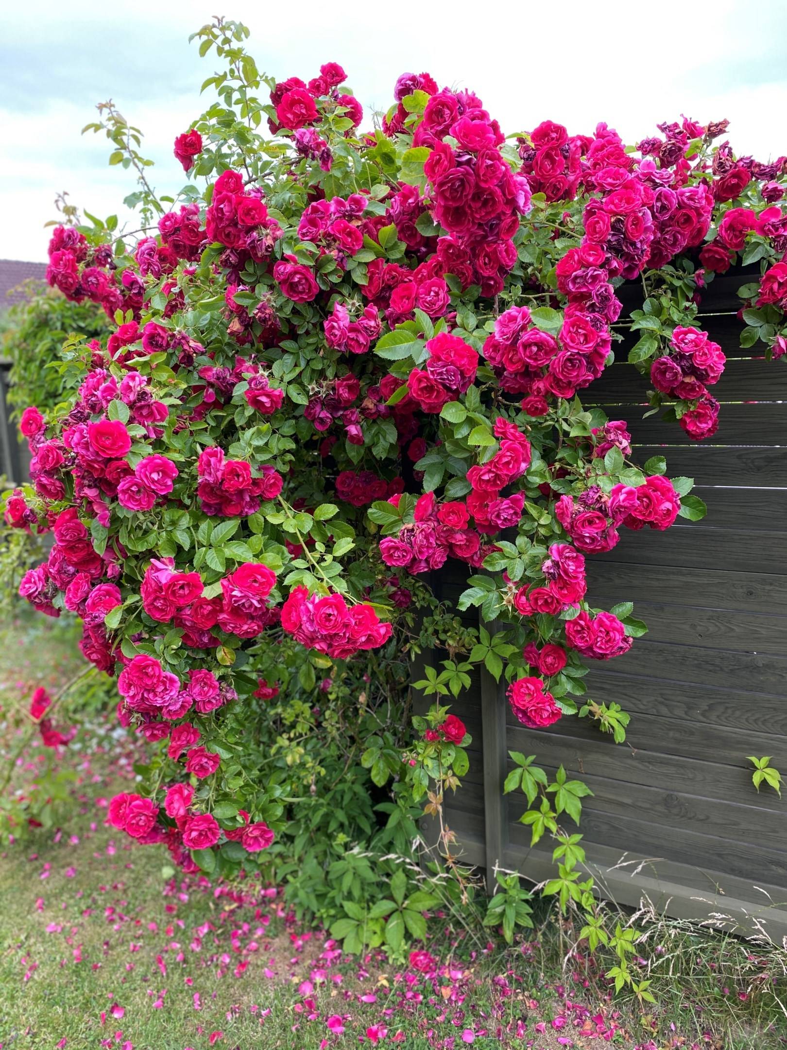 5 rum Lägenhet på Sidvindsvägen 70 Tallboda Linköpings kommun - bild 26