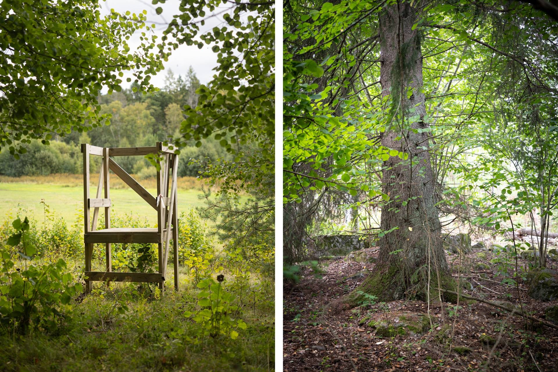 10 rum Gård/skog på Torsätra gård 1 Nykvarn Nykvarns kommun - bild 9