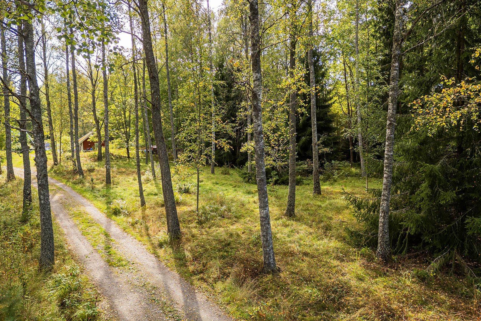 Katrineholm, Katrineholms kommun