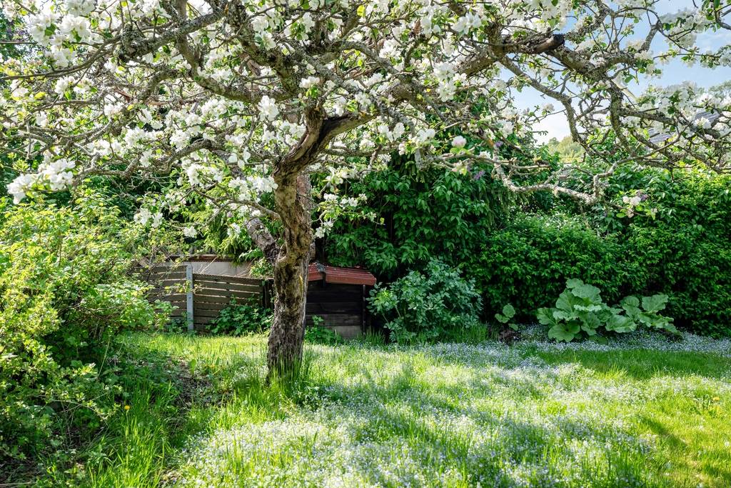 7 rum Villa på Torgvägen 7 Ösmo Nynäshamns kommun - bild 77