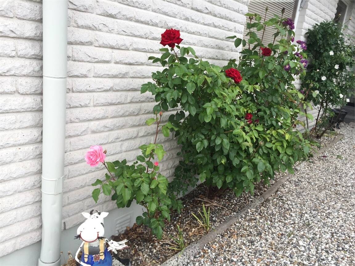 5 rum Villa på Slädvägen 10 Bankeryd Jönköpings kommun - bild 37