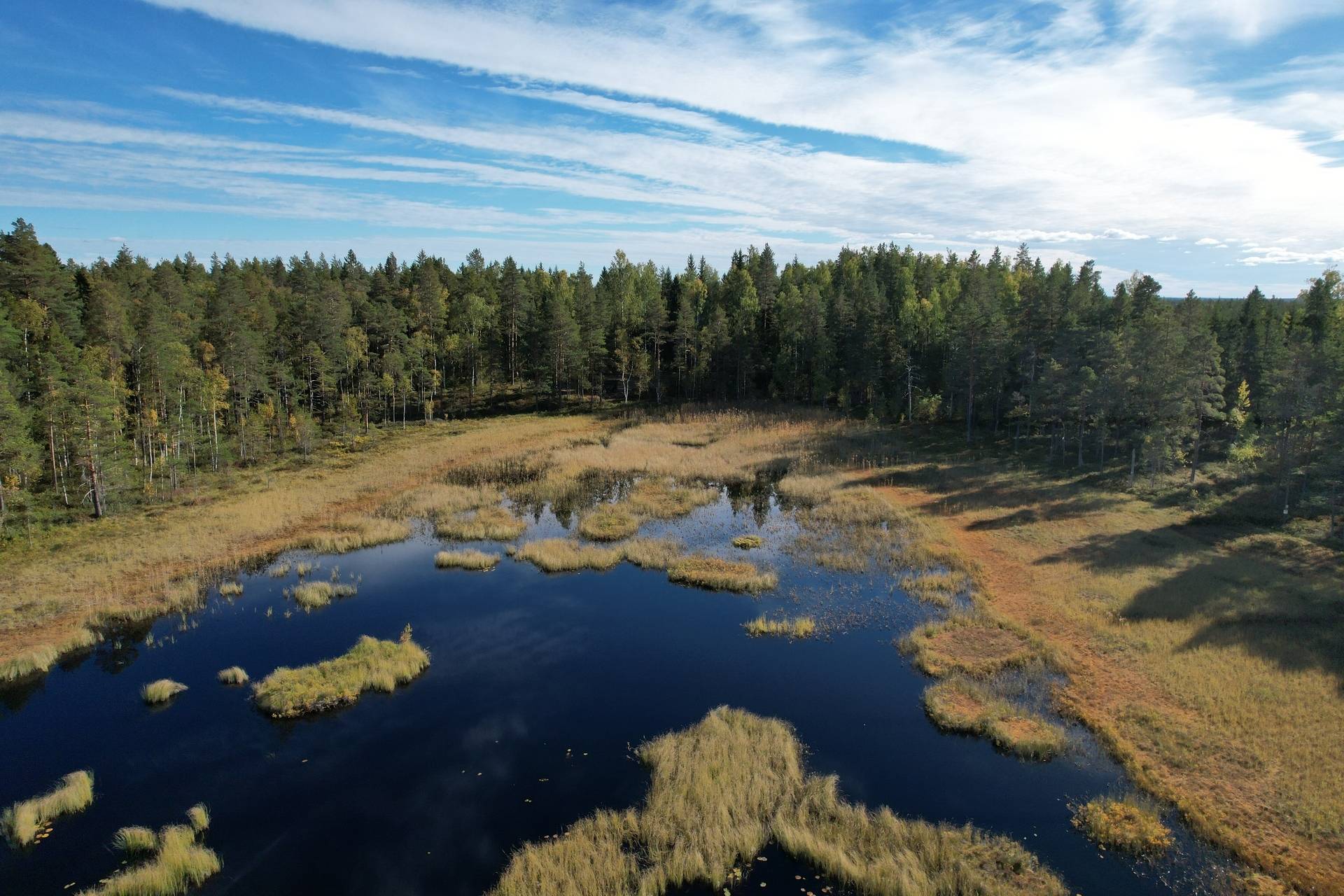 Gård med skogsbruk på Landtjärn Sandvikens kommun - bild 40