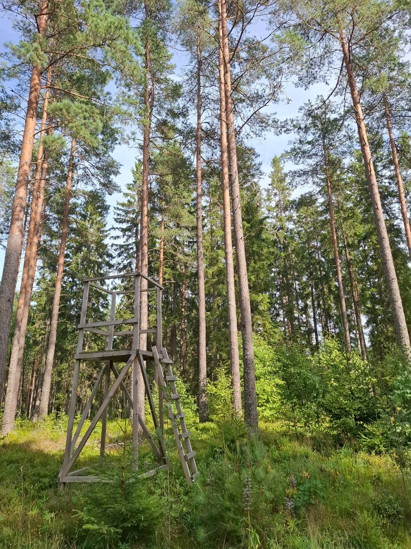 Gård med skogsbruk Jönköping Jönköpings kommun - bild 9