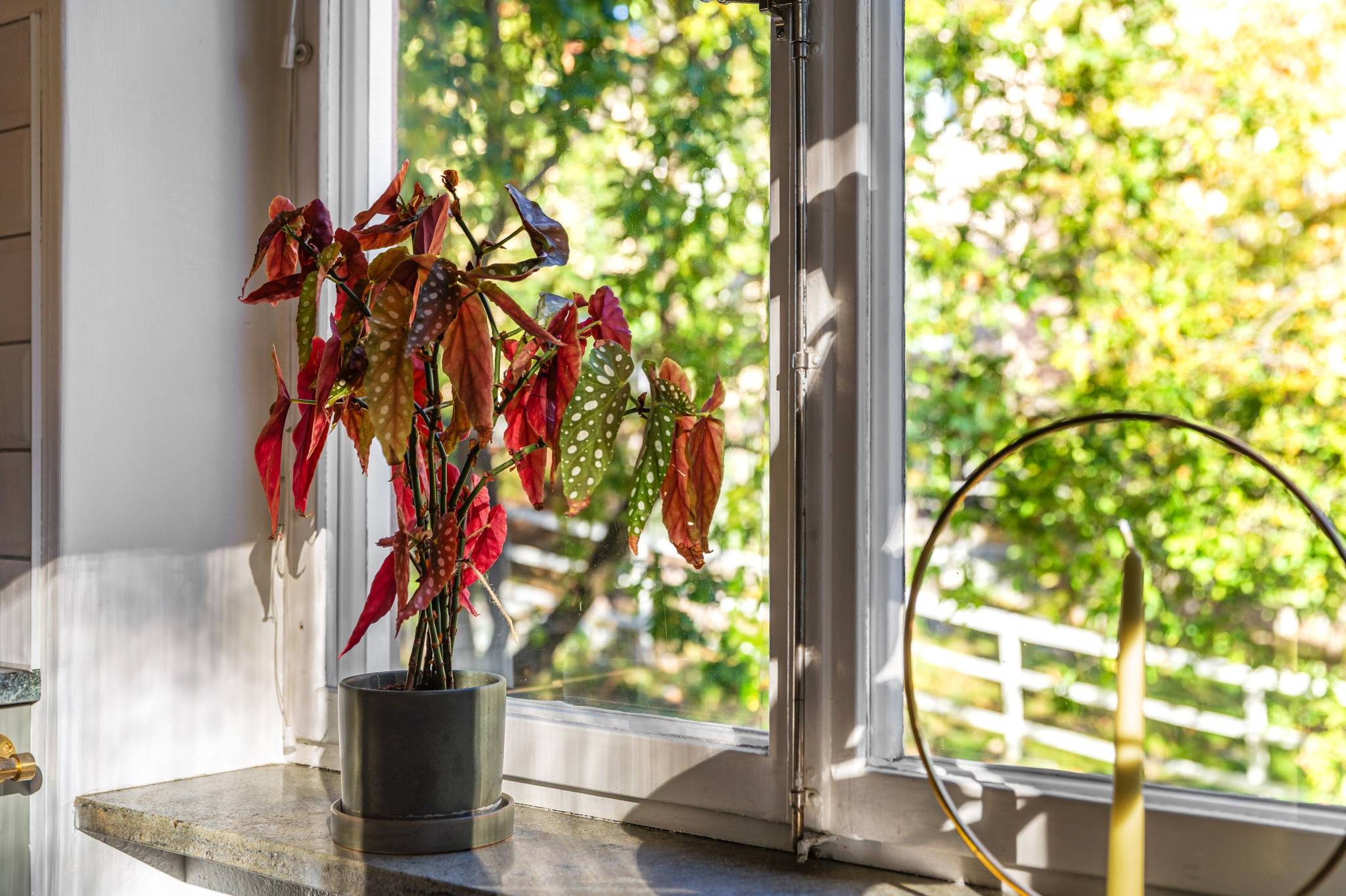 3 rum Lägenhet på Vänskapsvägen 36 Stora Essingen Stockholms kommun - bild 7