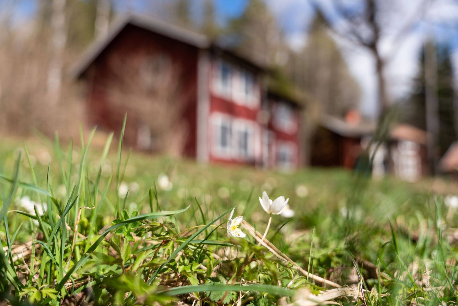 5 rum Villa på Bygattu 52 Sifferbo Gagnefs kommun - bild 43