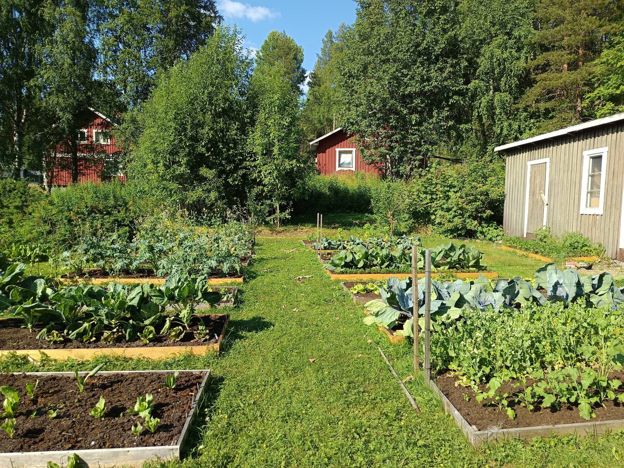 6 rum Gård/skog på Västra Ormsjö 216 Västra Ormsjö Dorotea kommun - bild 3