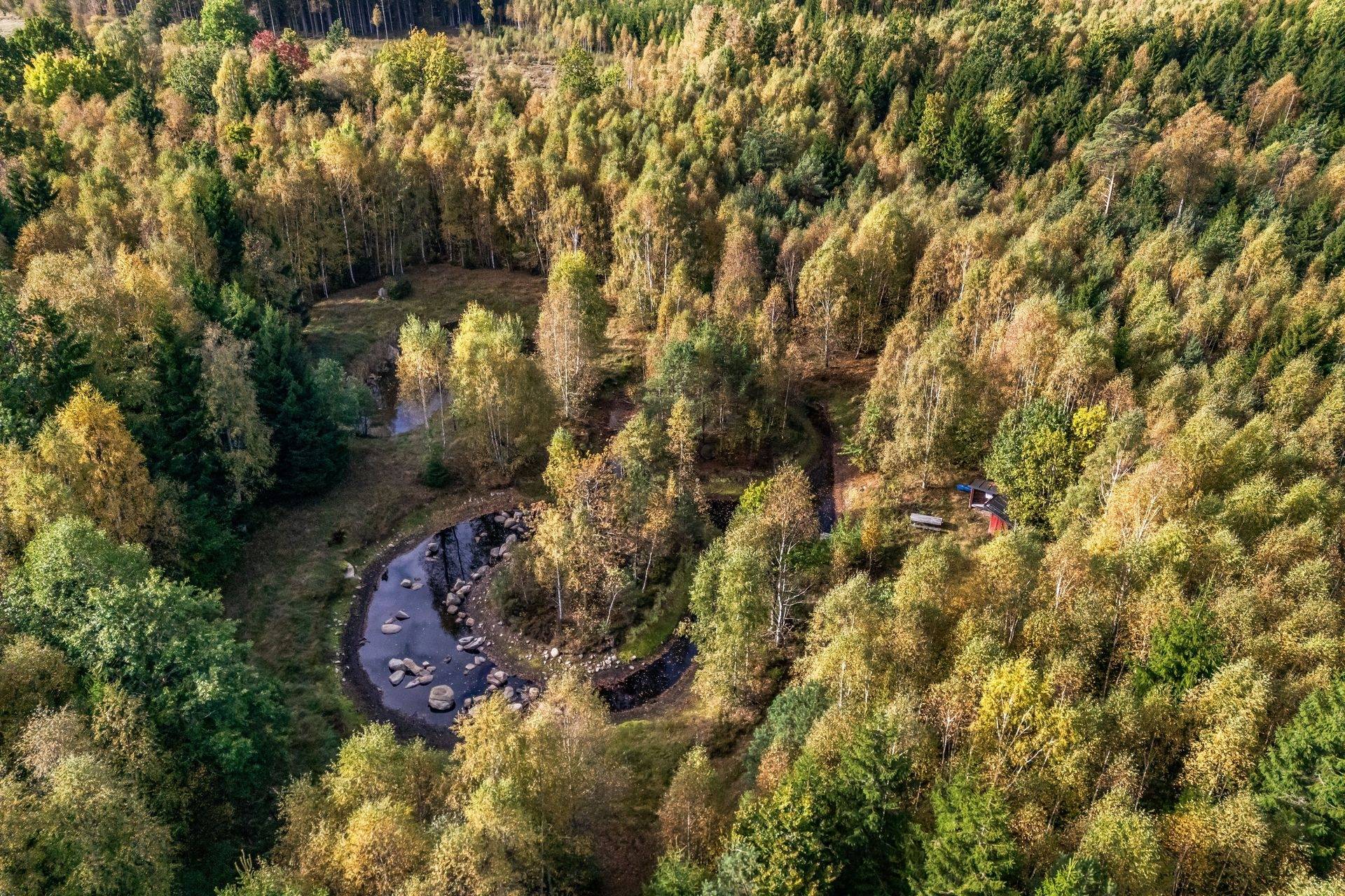 Gård/skog på Jägersborgsvägen Hässleholms kommun - bild 7