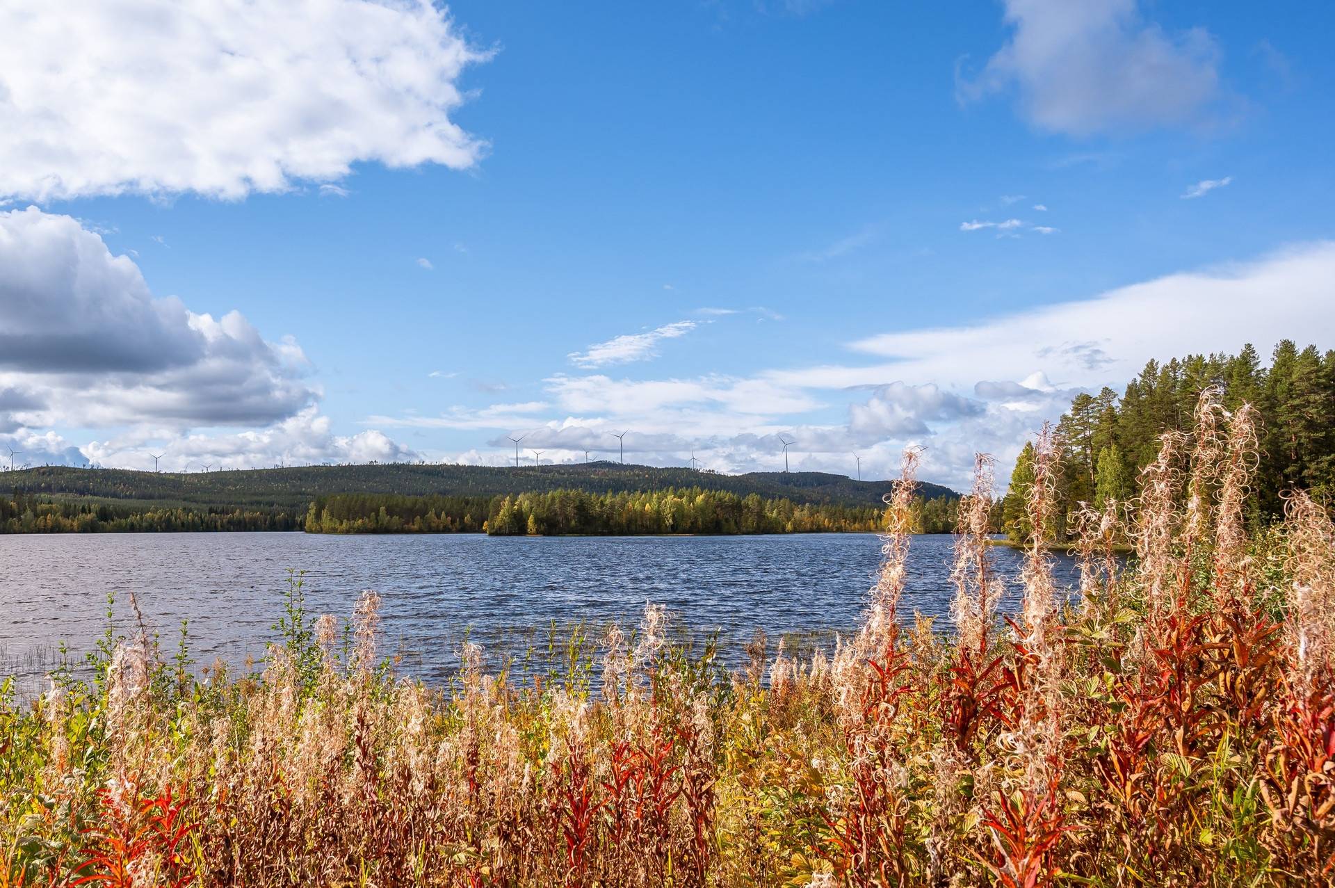 3 rum Villa på Handsjön 670 Bergs kommun - bild 21