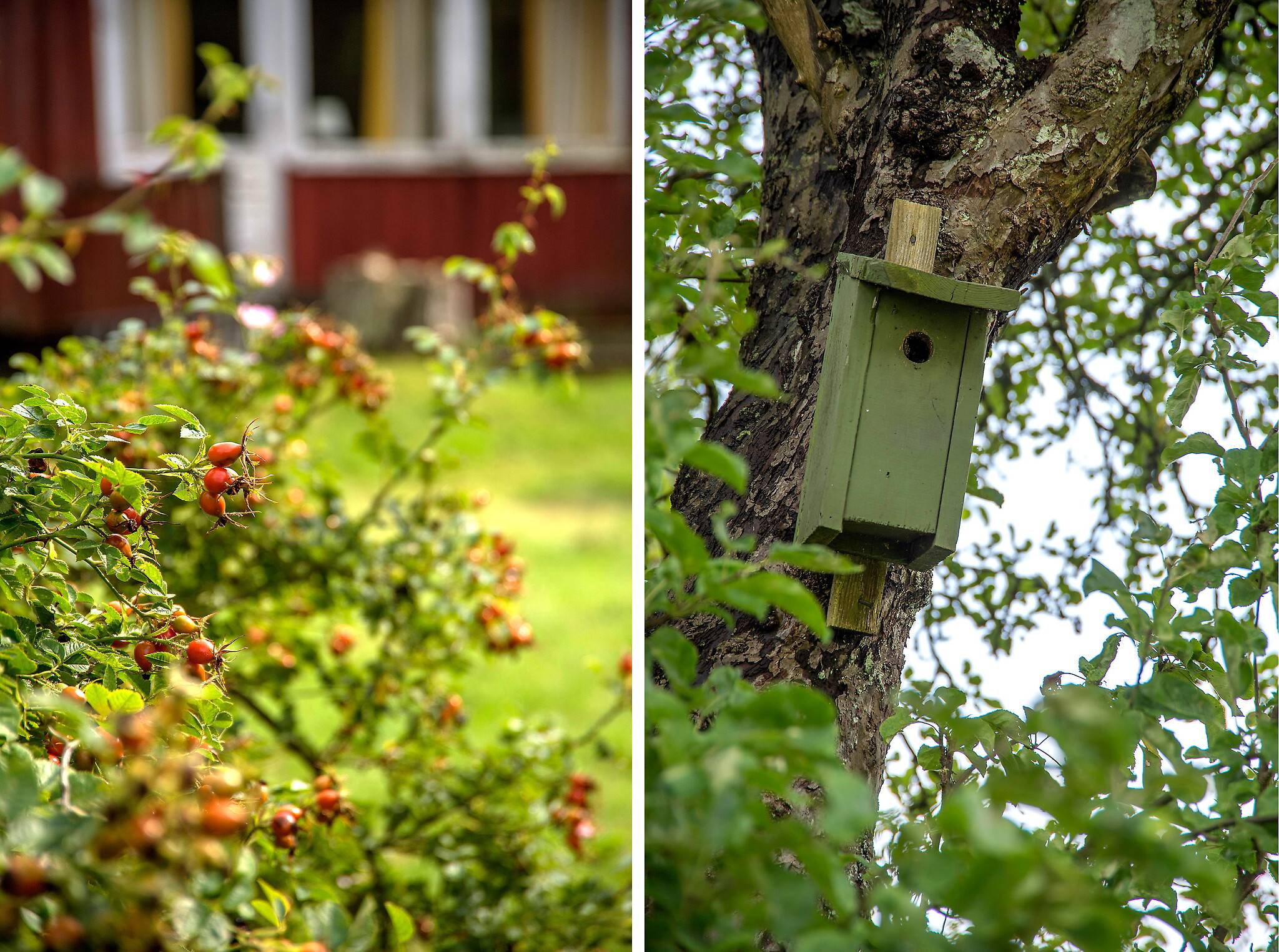 3 rum Fritidshus på Gökvägen 17 Steninge Halmstads kommun - bild 7