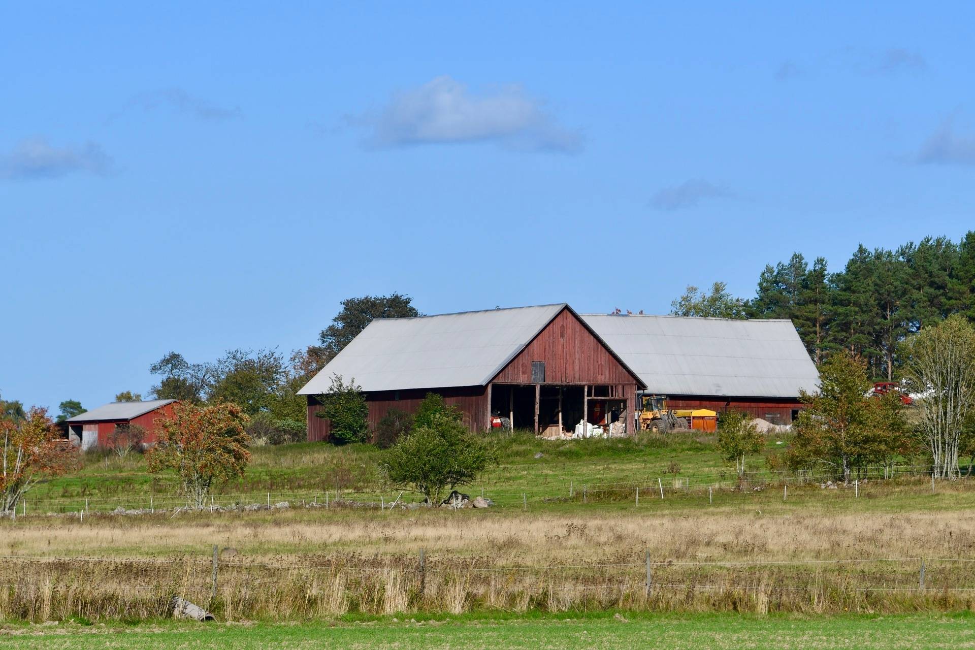 Gård med skogsbruk Binneberg Skövde kommun - bild 42