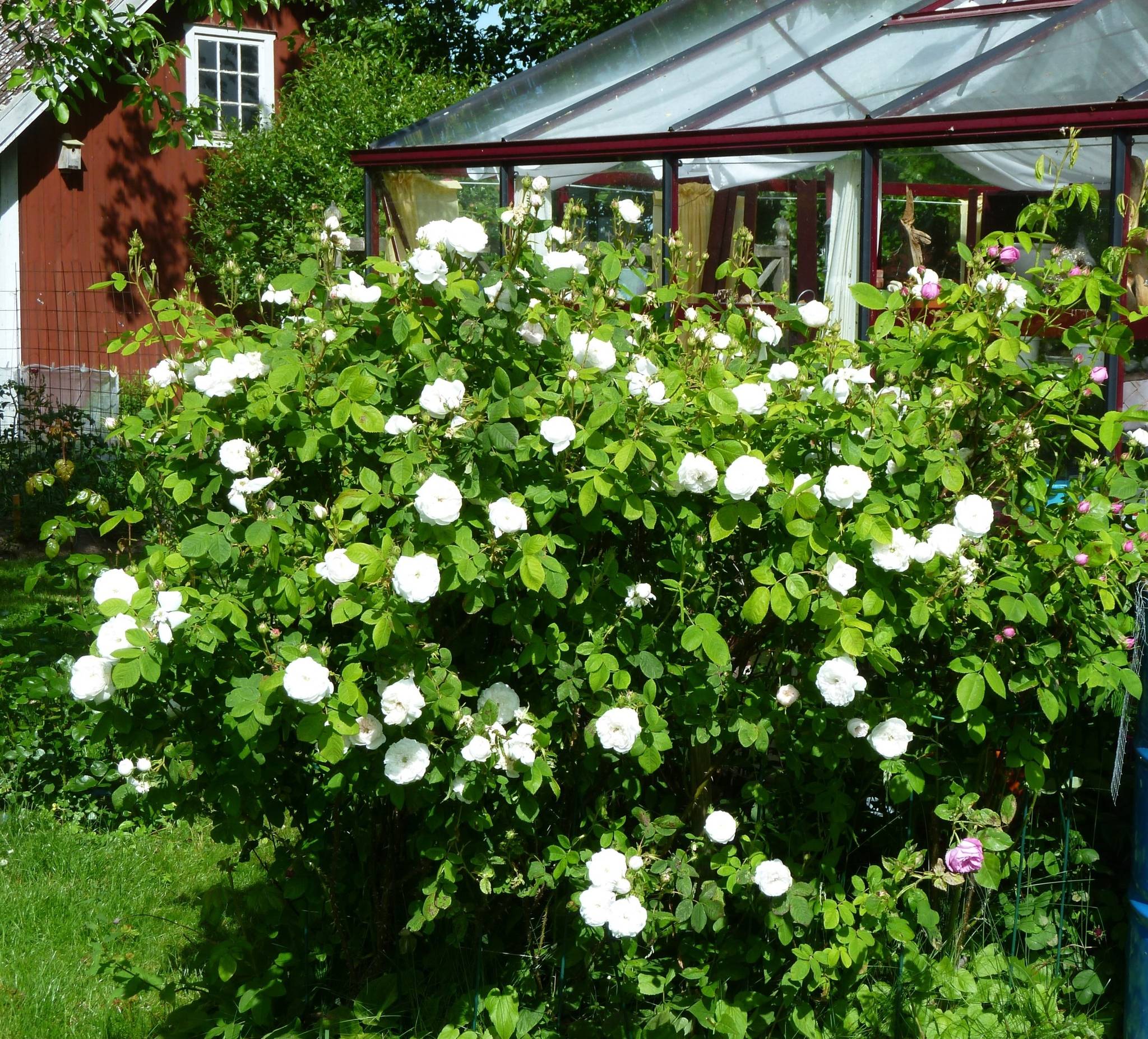5 rum Gård med jordbruk på Viby Nygård 1 Mantorp Mjölby kommun - bild 34