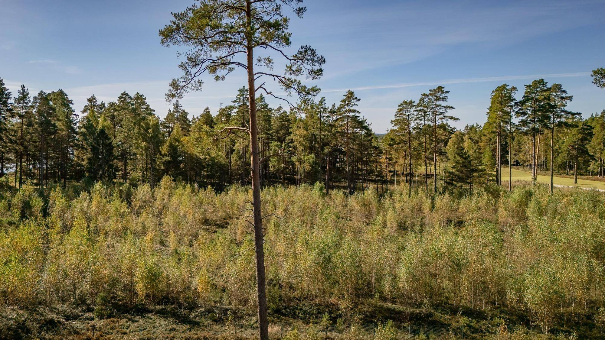 Vålberg, Karlstads kommun
