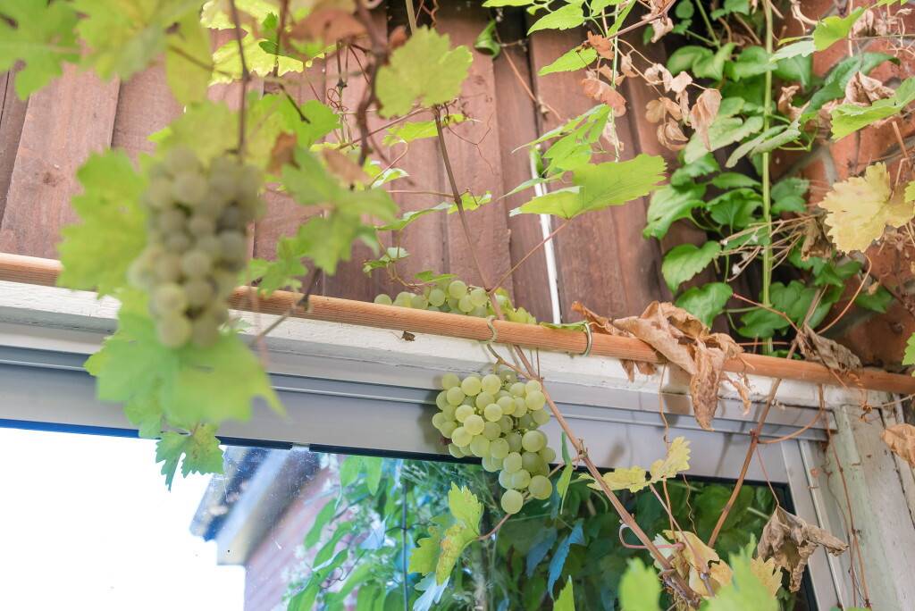 4 rum Villa på Hagavägen 7 Vadstena kommun - bild 14