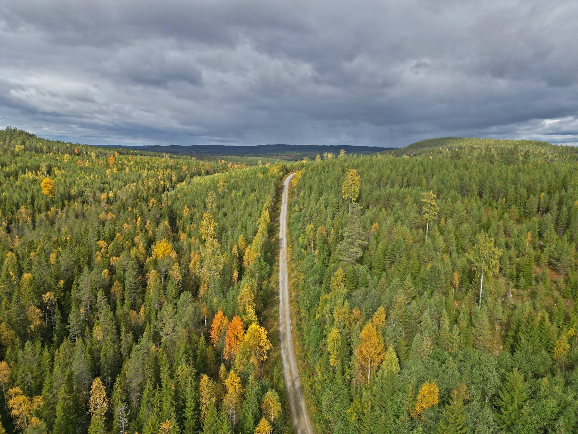 Gård/skog på Brattsbacka Nordmalings kommun - bild 1
